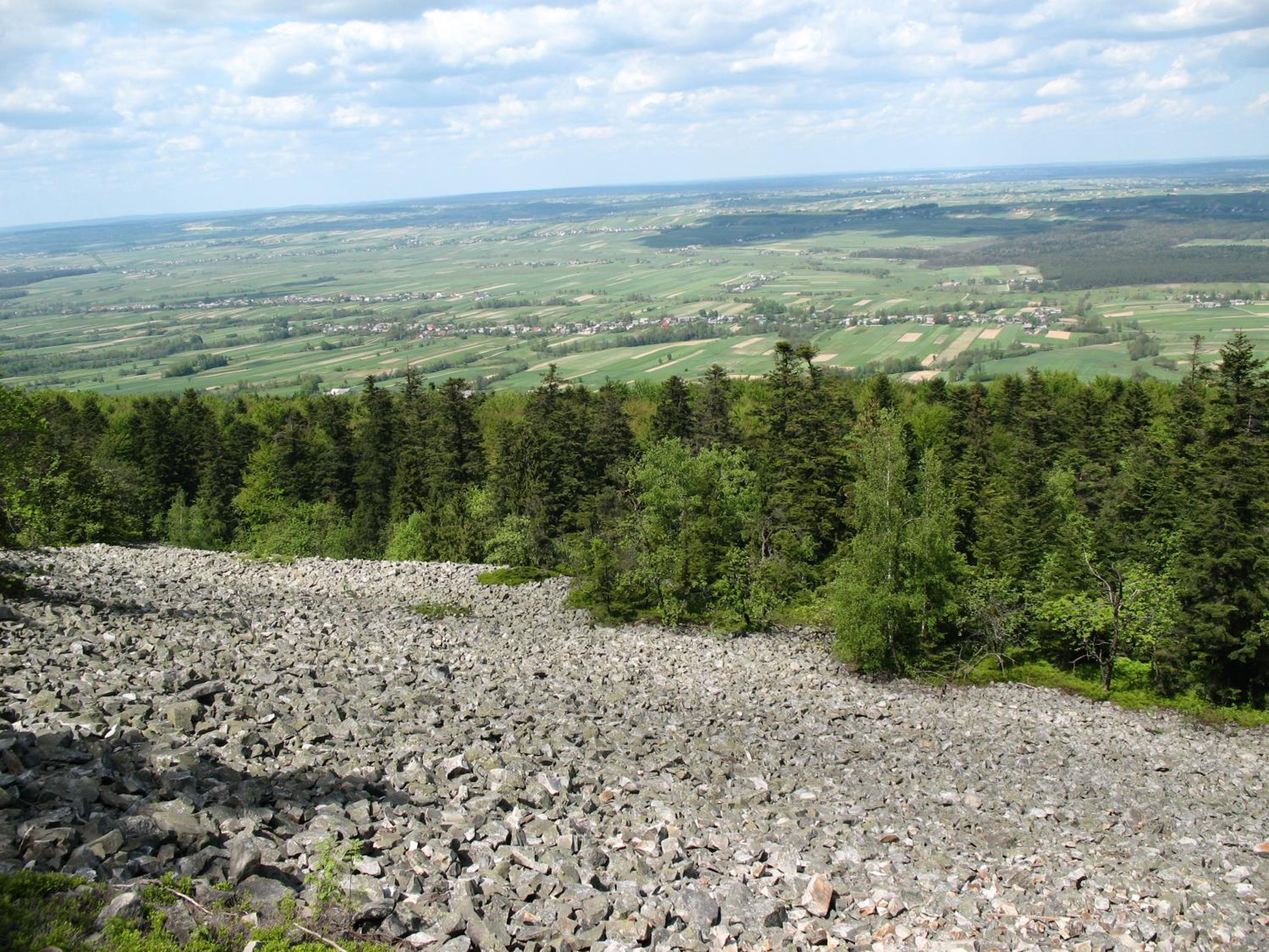 Photo 38