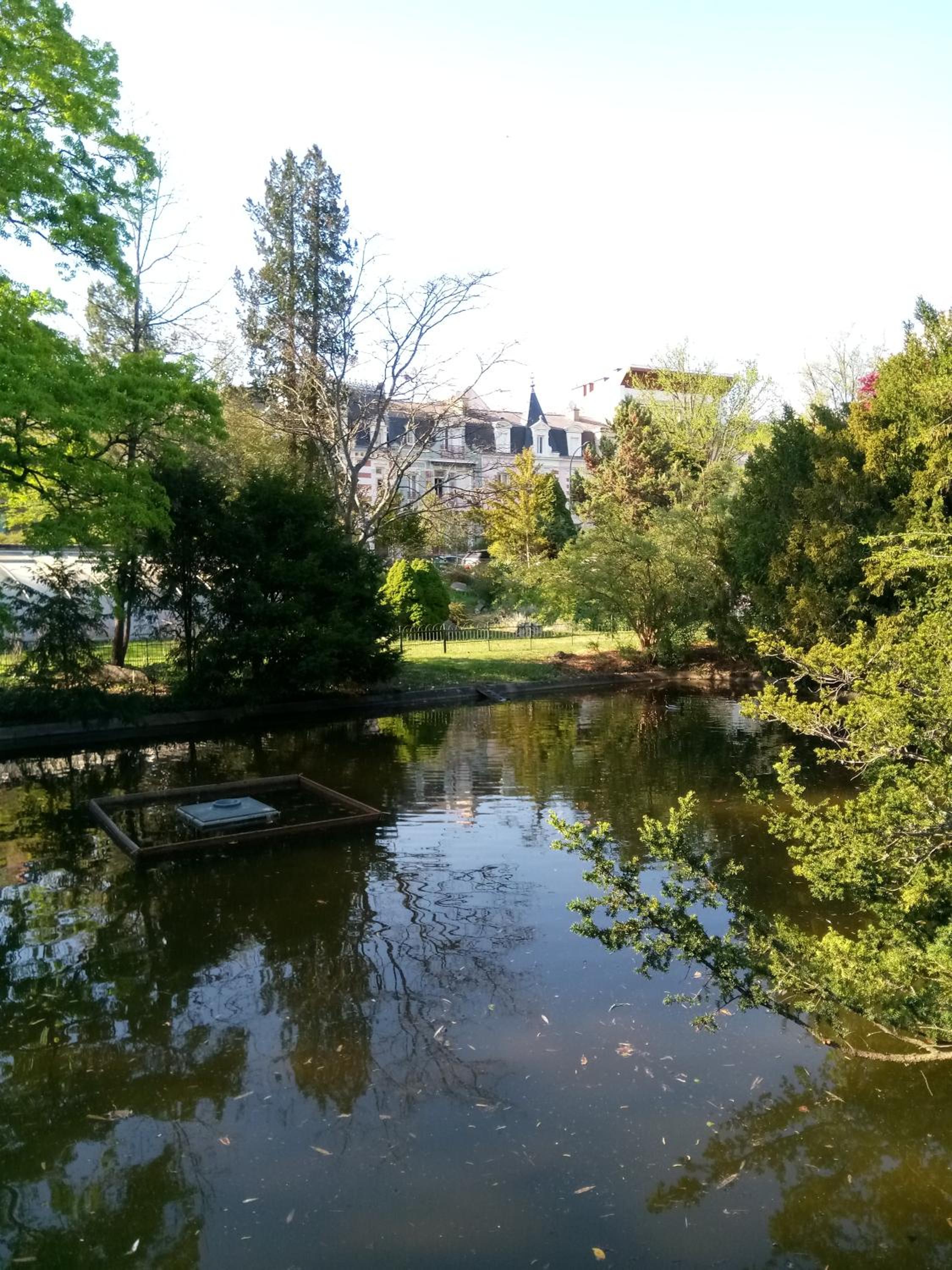 Photo 16