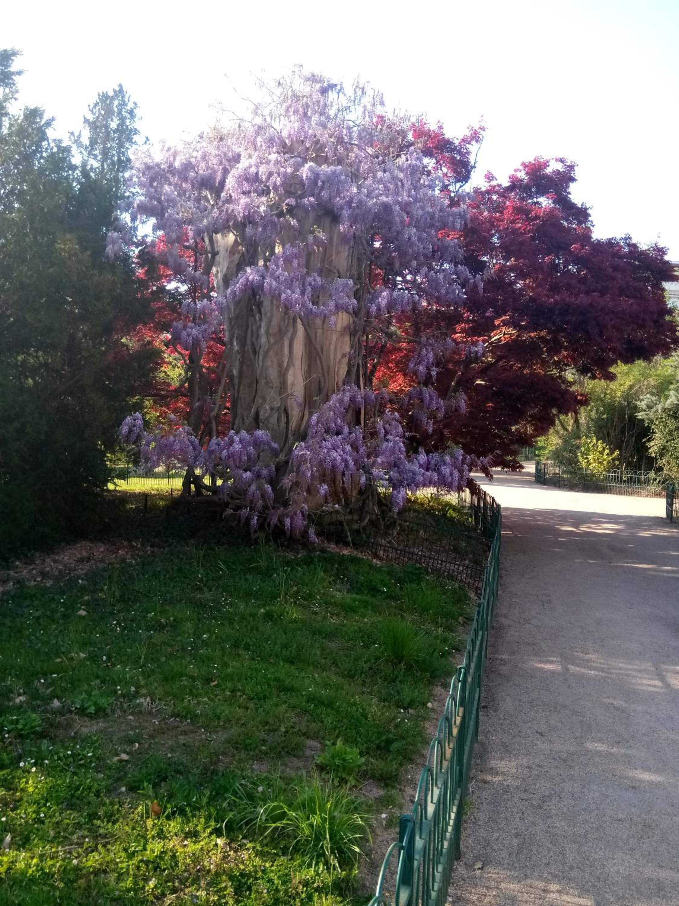 Photo 17