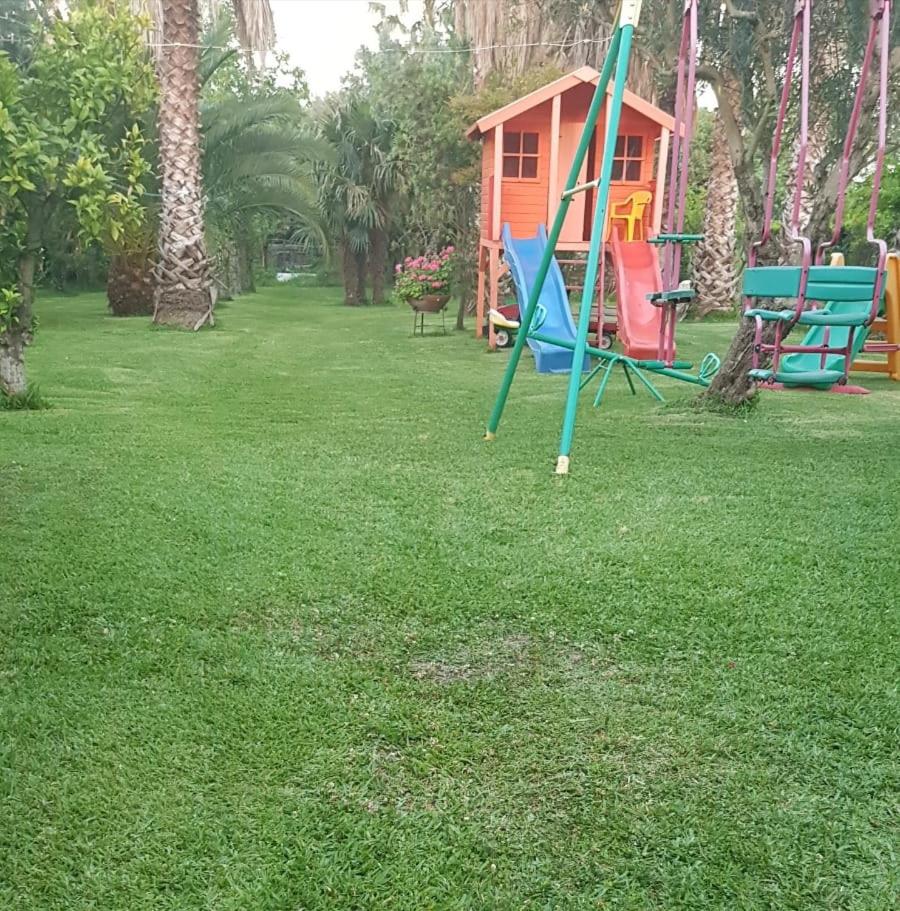 Photo 10