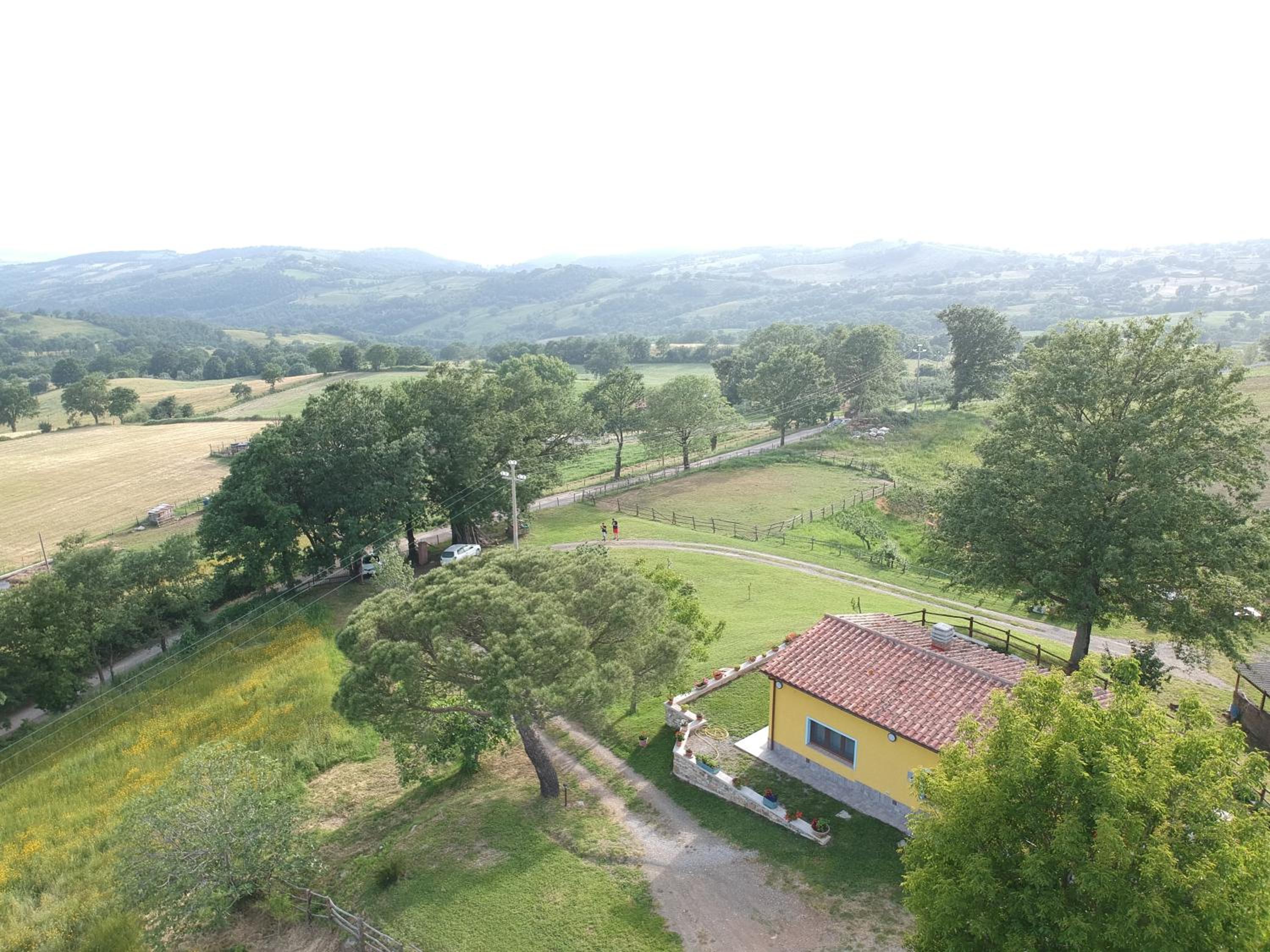 Photo 45