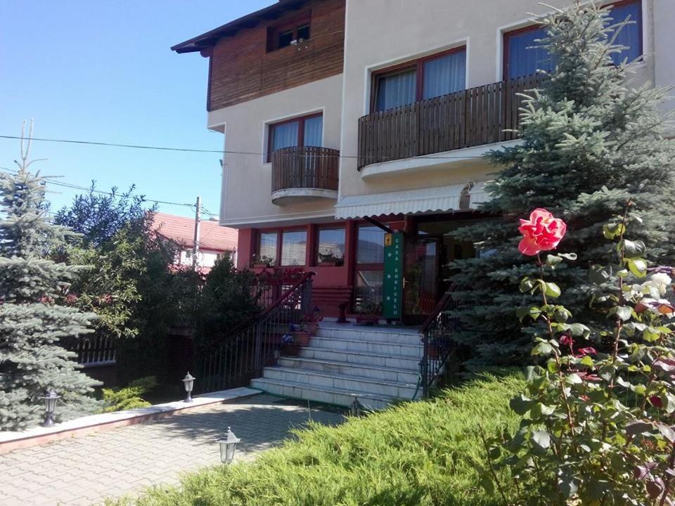 CASA SORICELU view 2