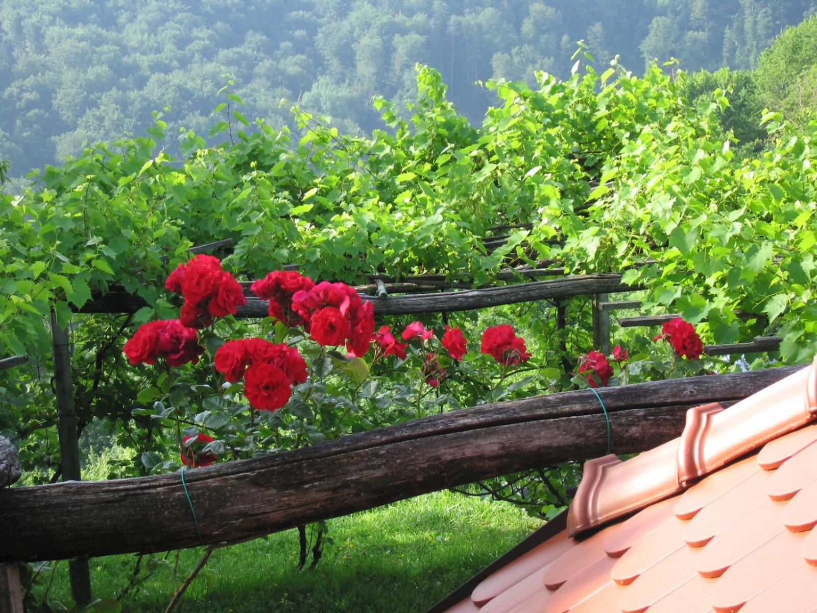 Holiday Home Carovina