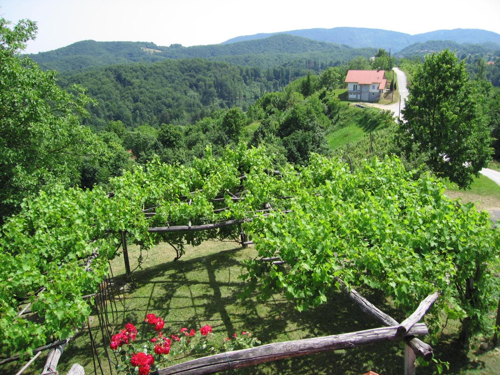 Holiday Home Carovina