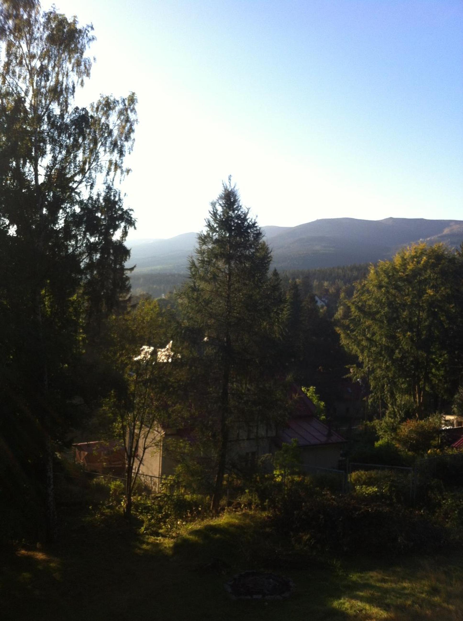 Photo 26