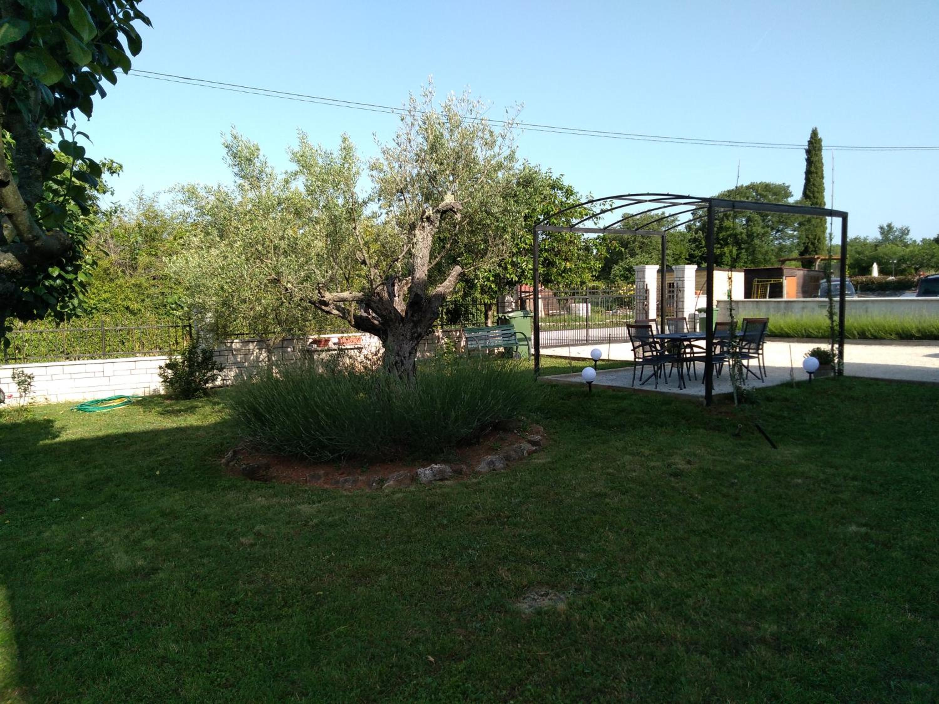 Photo 7