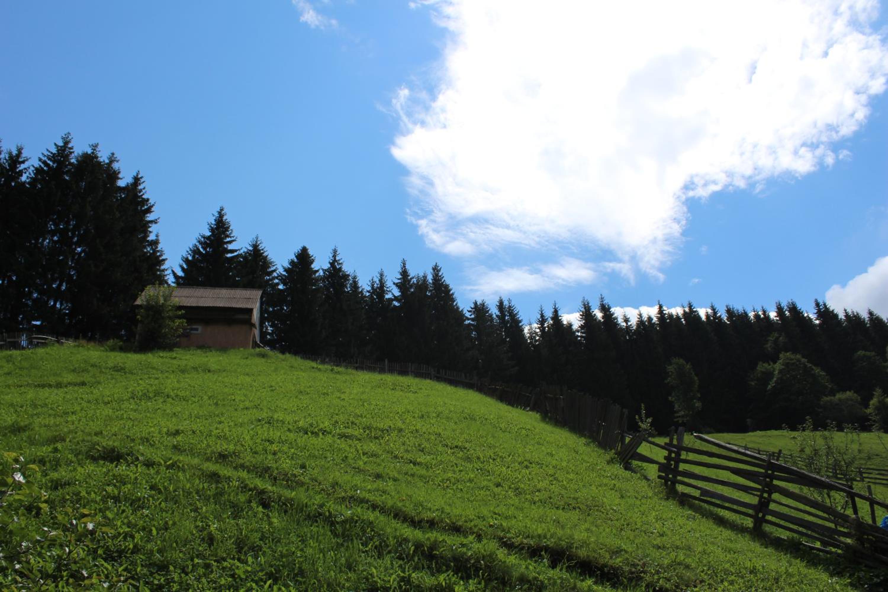 Photo 27