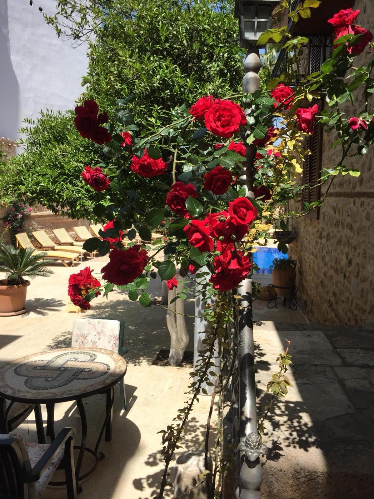 White Garden Hotel-Adult Only - Image 65