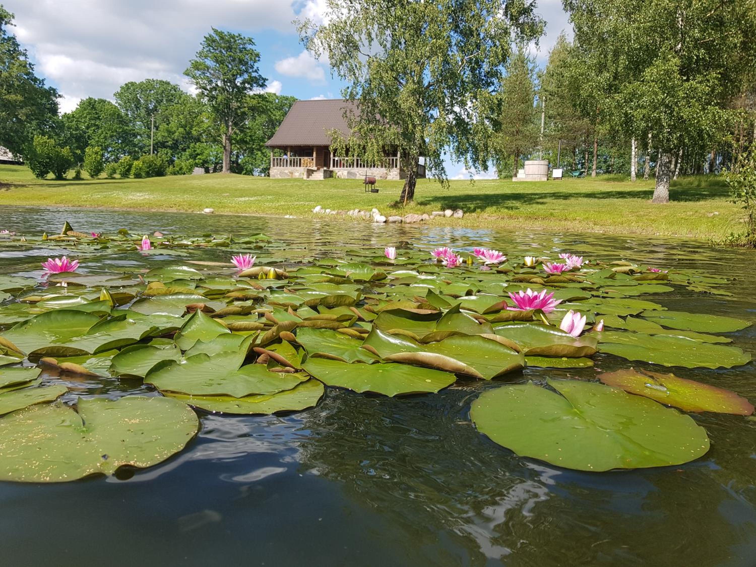 Leimaņi view 2