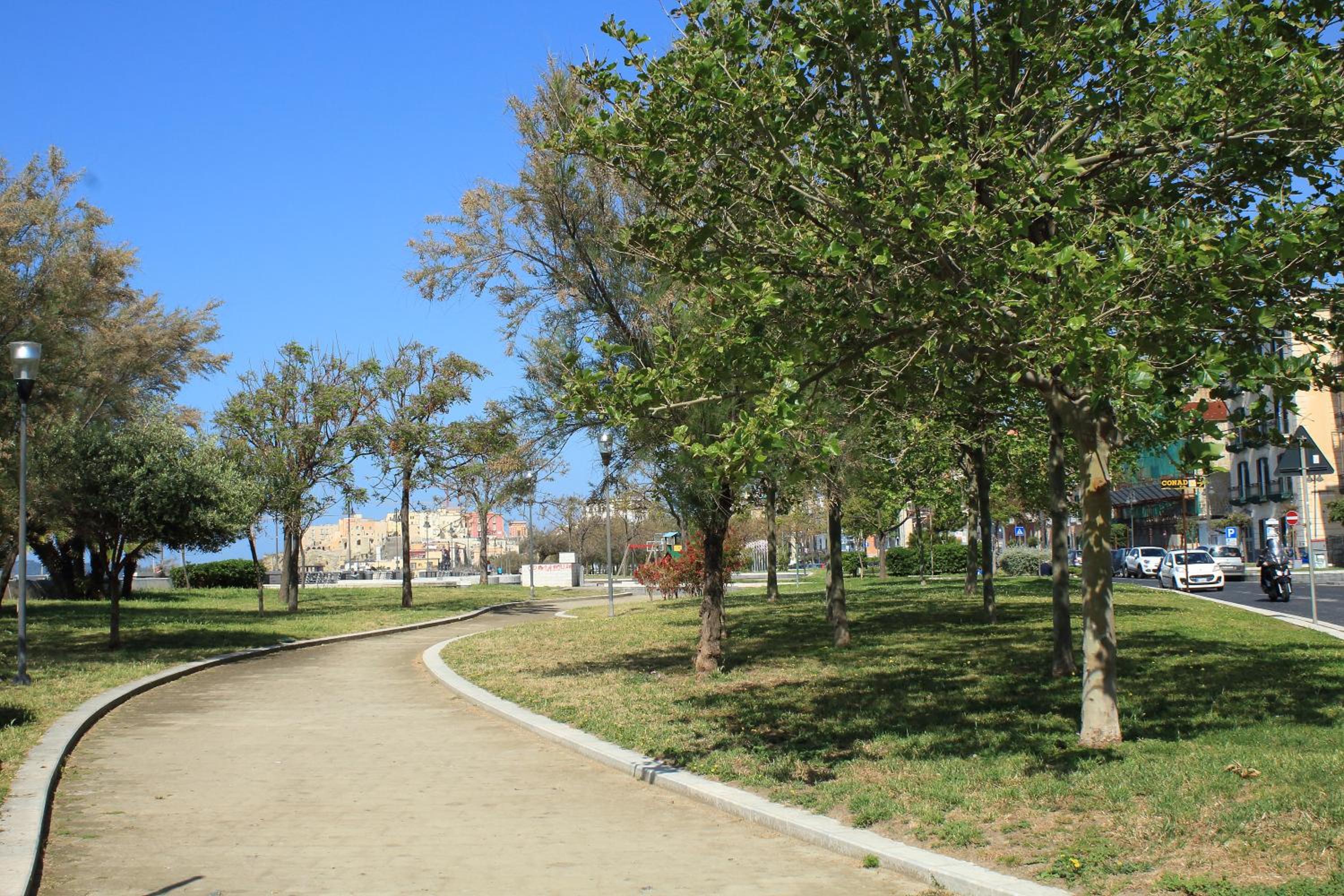 Photo 26