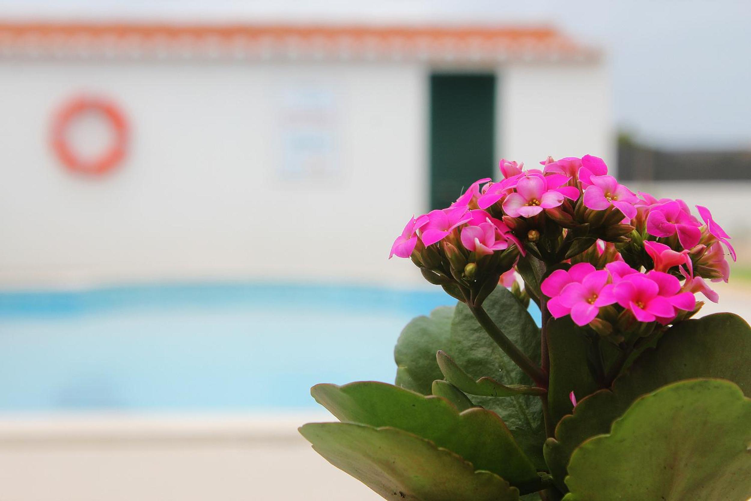 Azimute Guest House