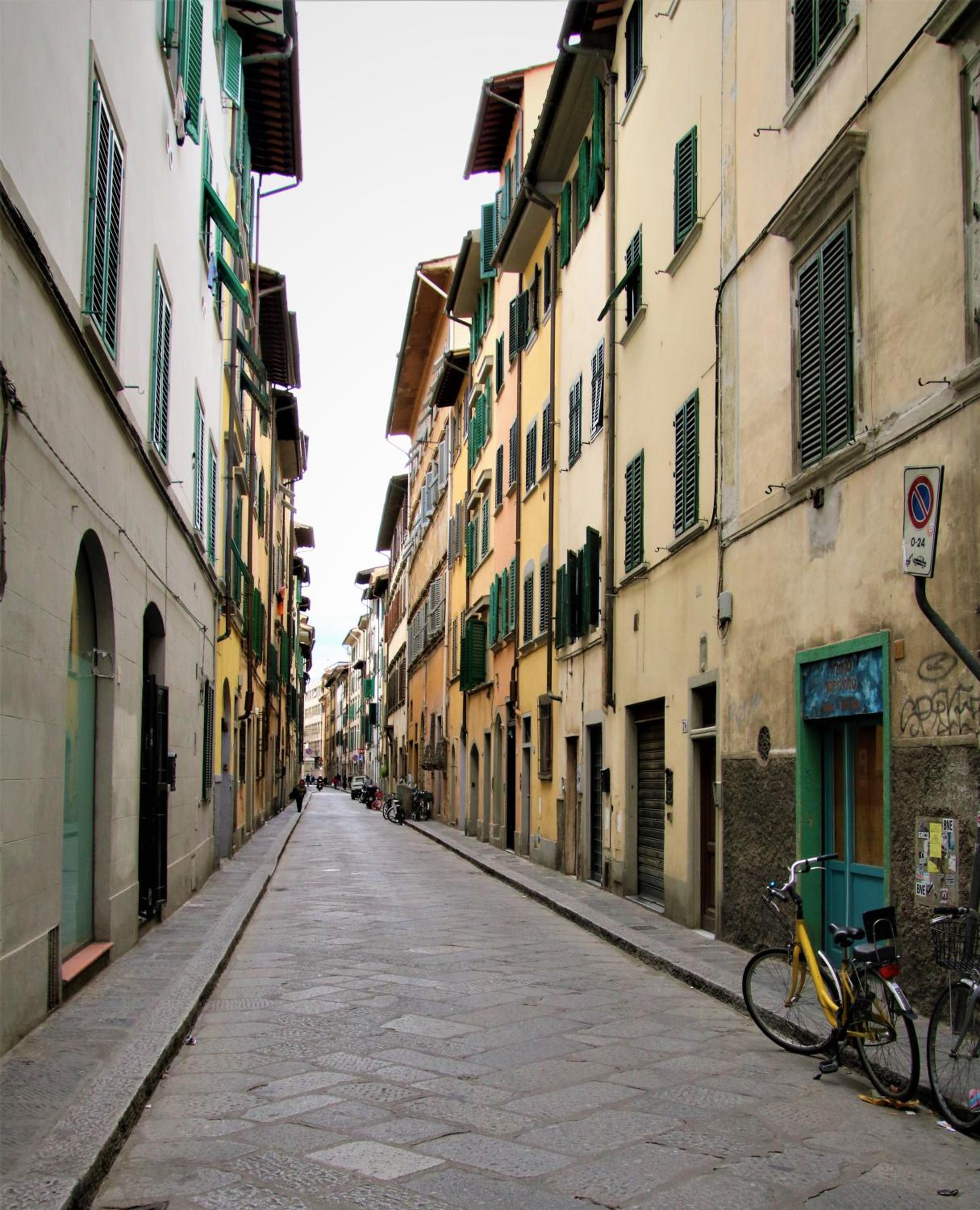 Historic center Palace - Huge 4 bedrooms Santa Croce apartment - By LikeHomeFlorence