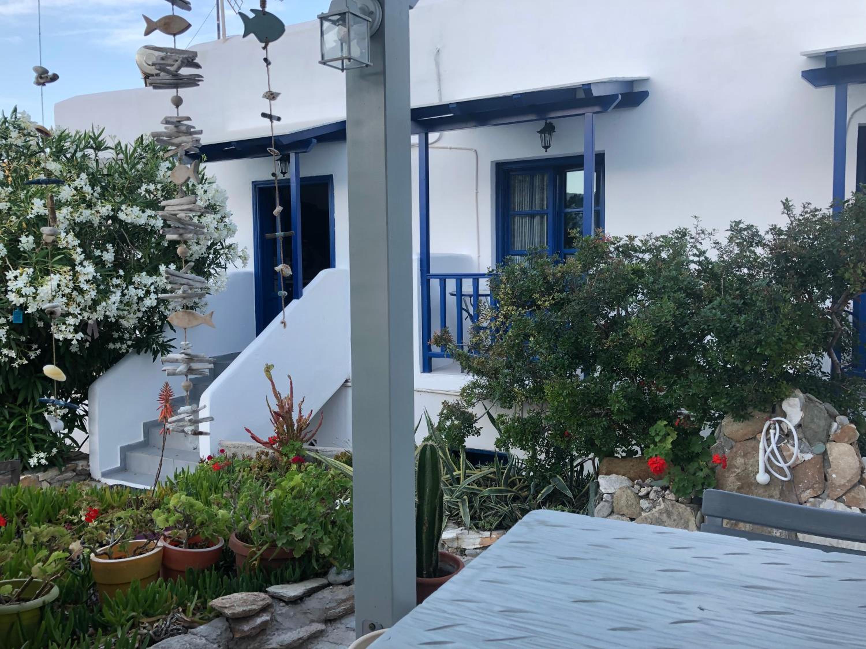 Photo 19