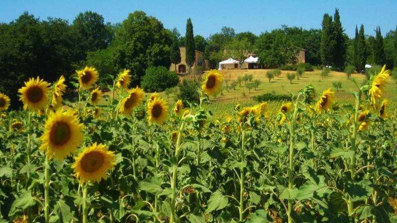 Agriturismo Natura E Salute
