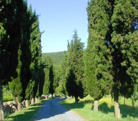 Agriturismo Natura E Salute