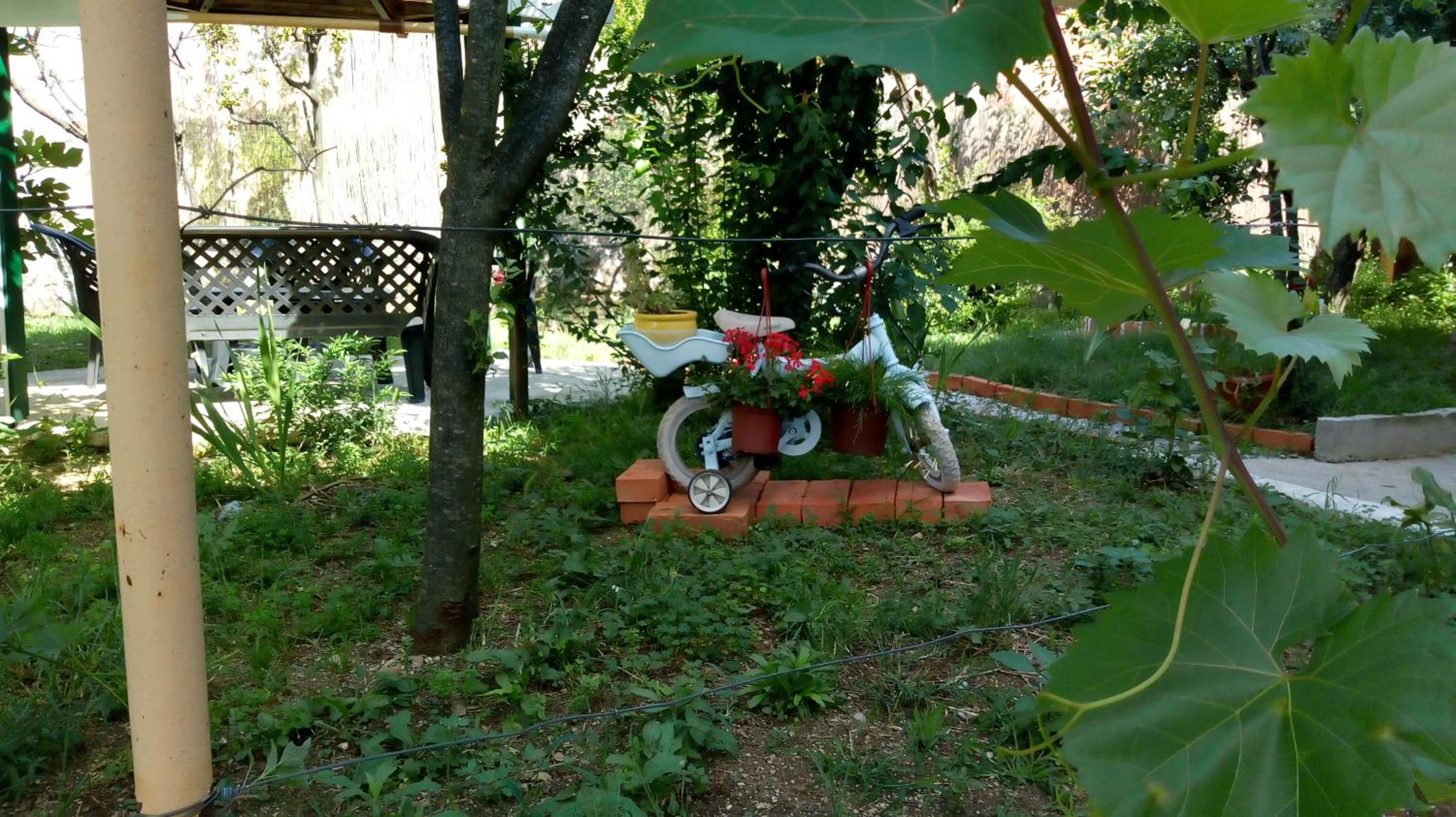 Photo 6