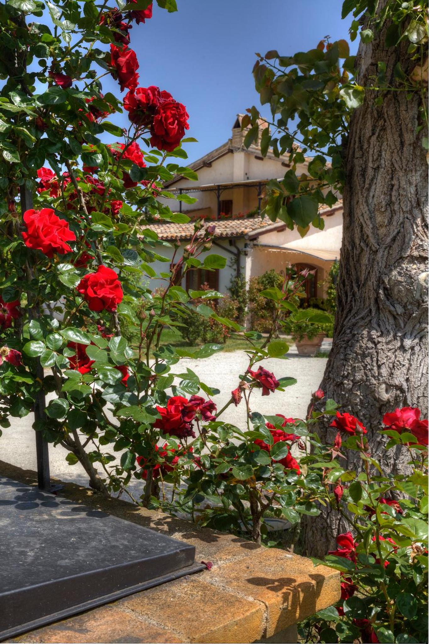Agriturismo Il Barco