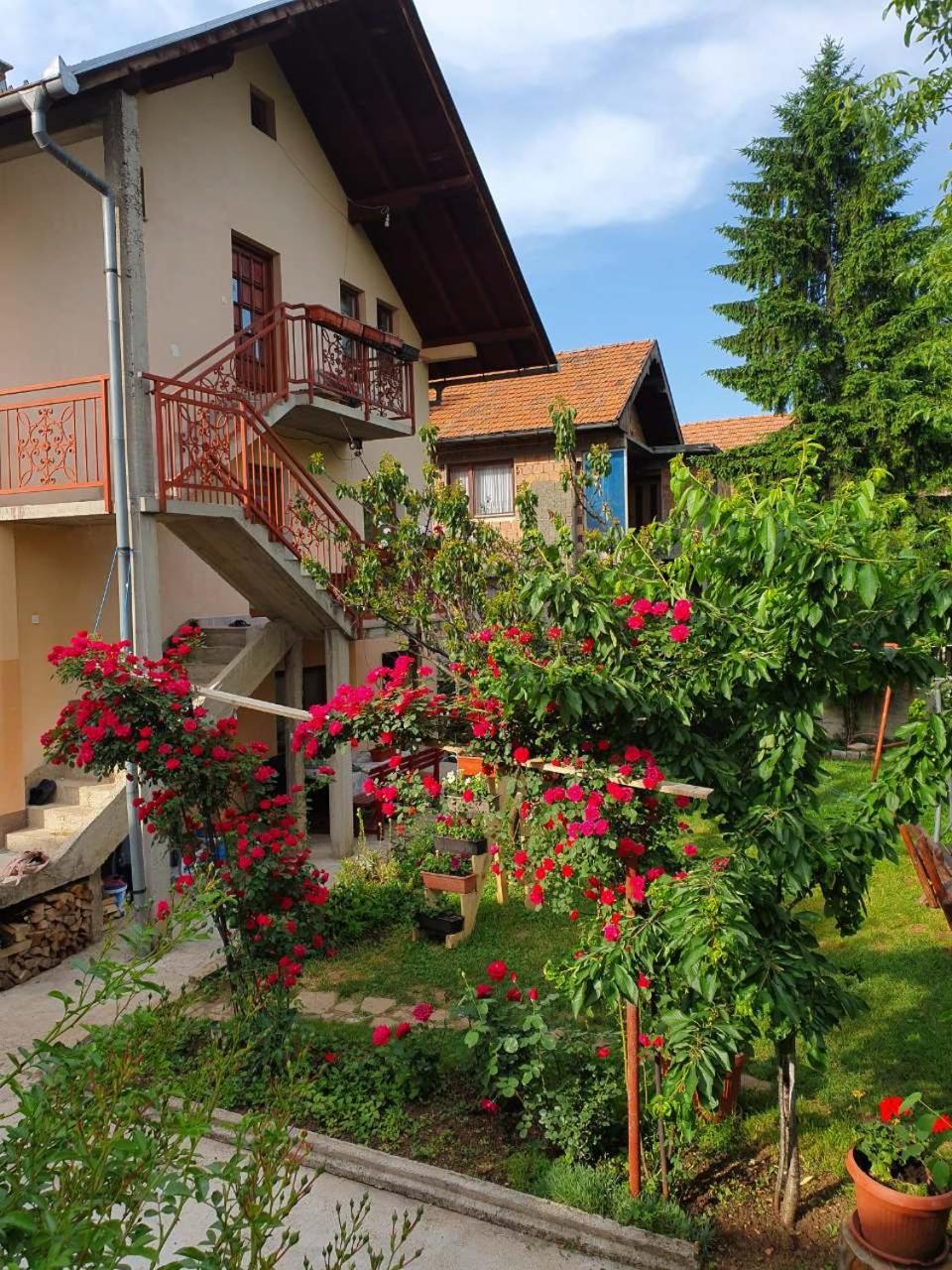 Apartment Kantarije