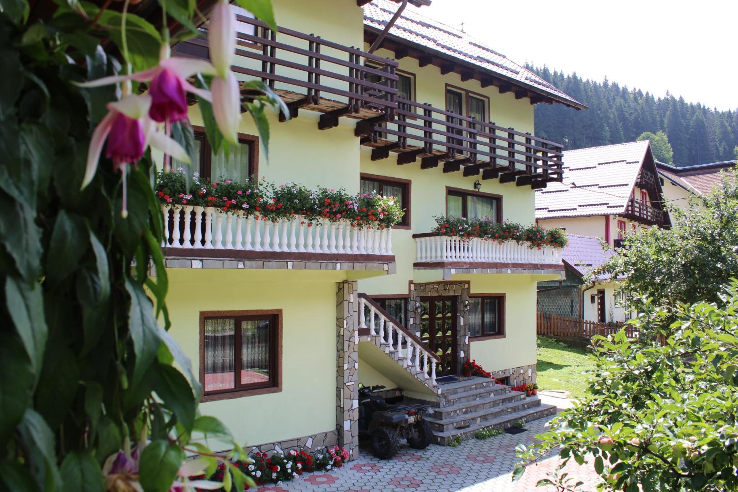 Piscul Muntelui view 2