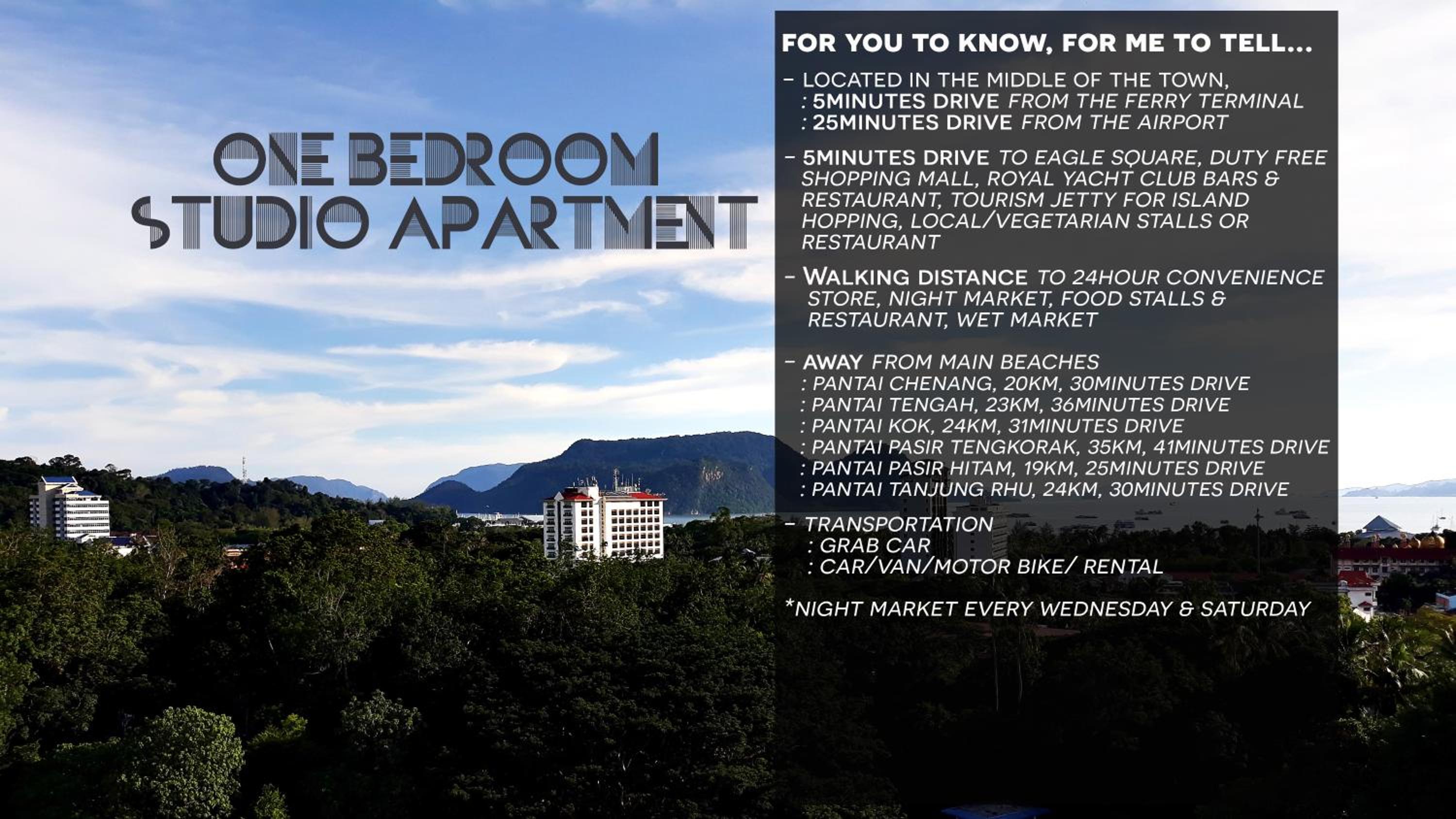 Minimalist Studio Apartment photo 1