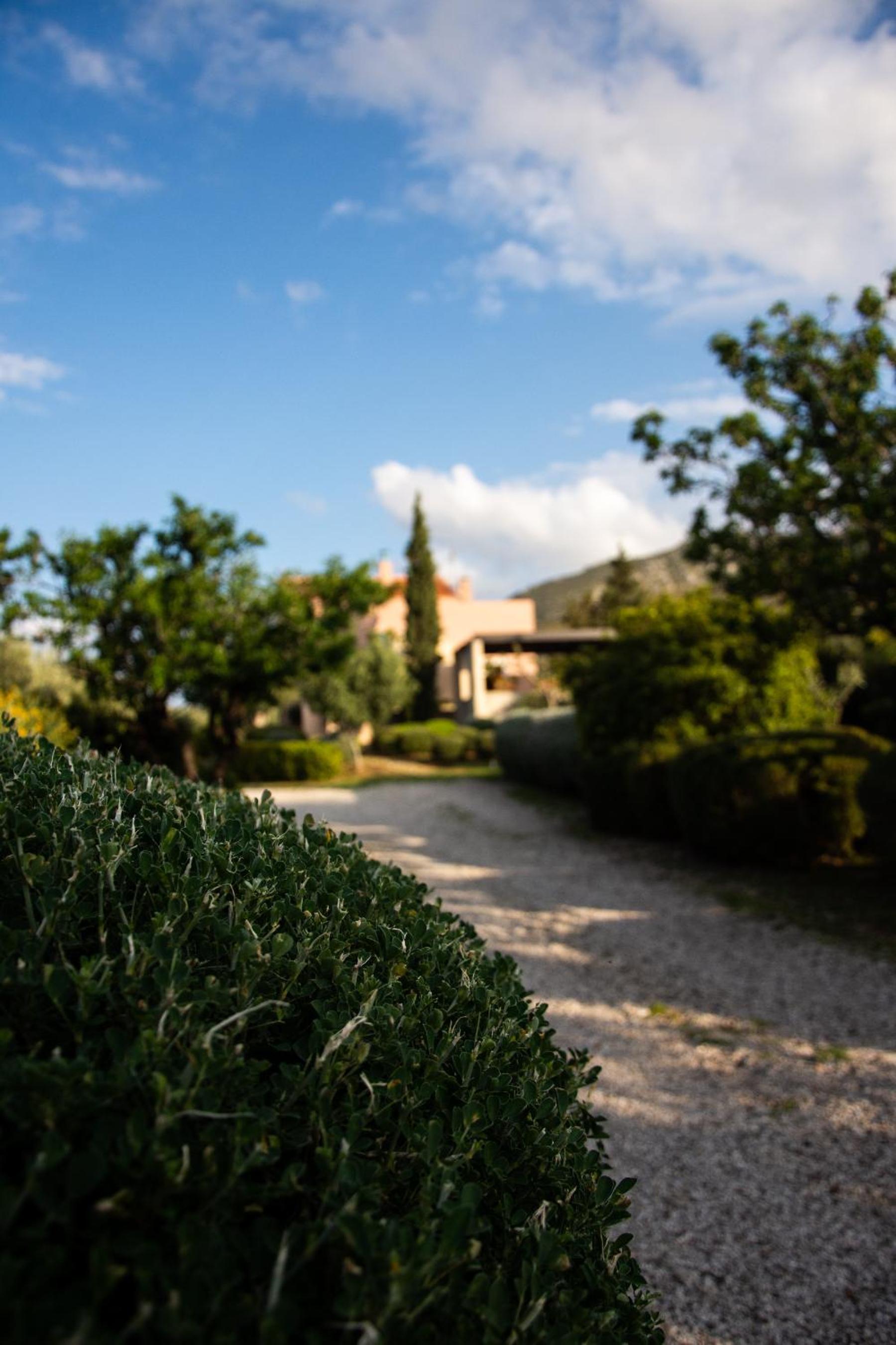 Hotel Villa Rosa with private pool, Athens Riviera - Image 1