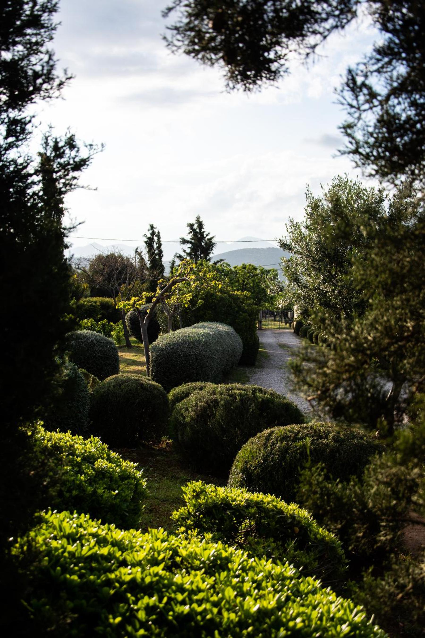 Villa Rosa with private pool, Athens Riviera view 4