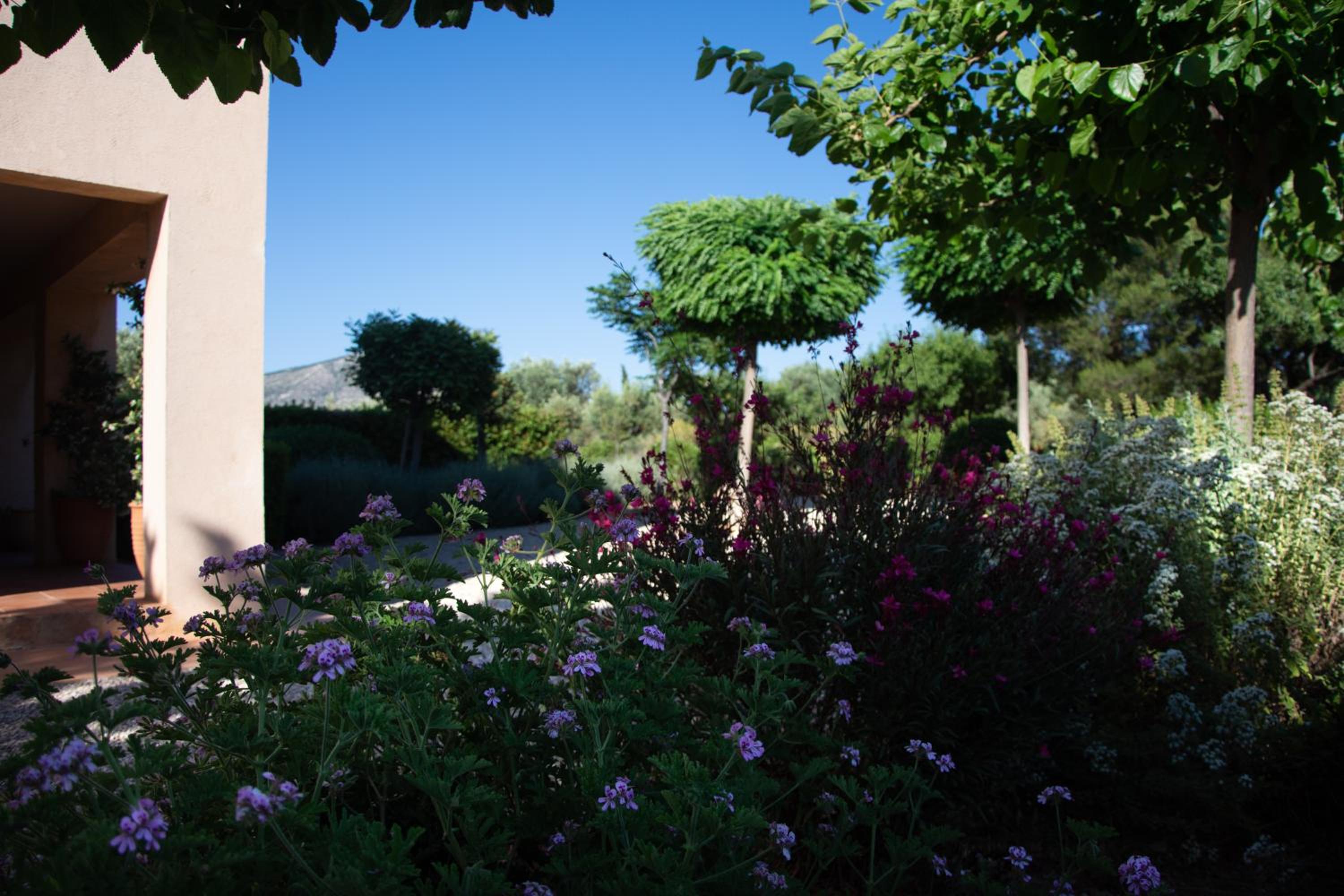 Villa Rosa with private pool, Athens Riviera view 3
