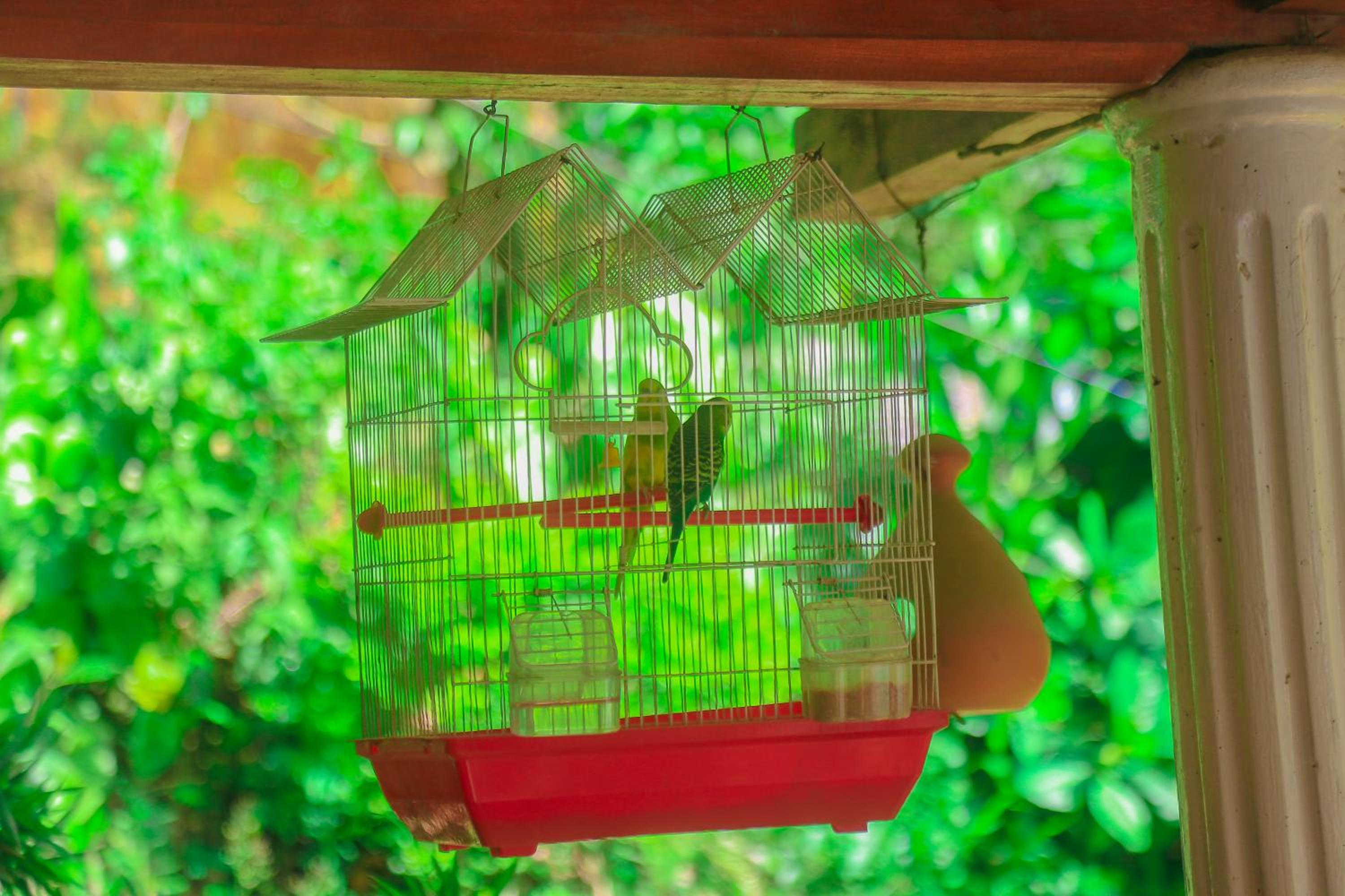 Rustle Hill Home Stay-Ella view 4