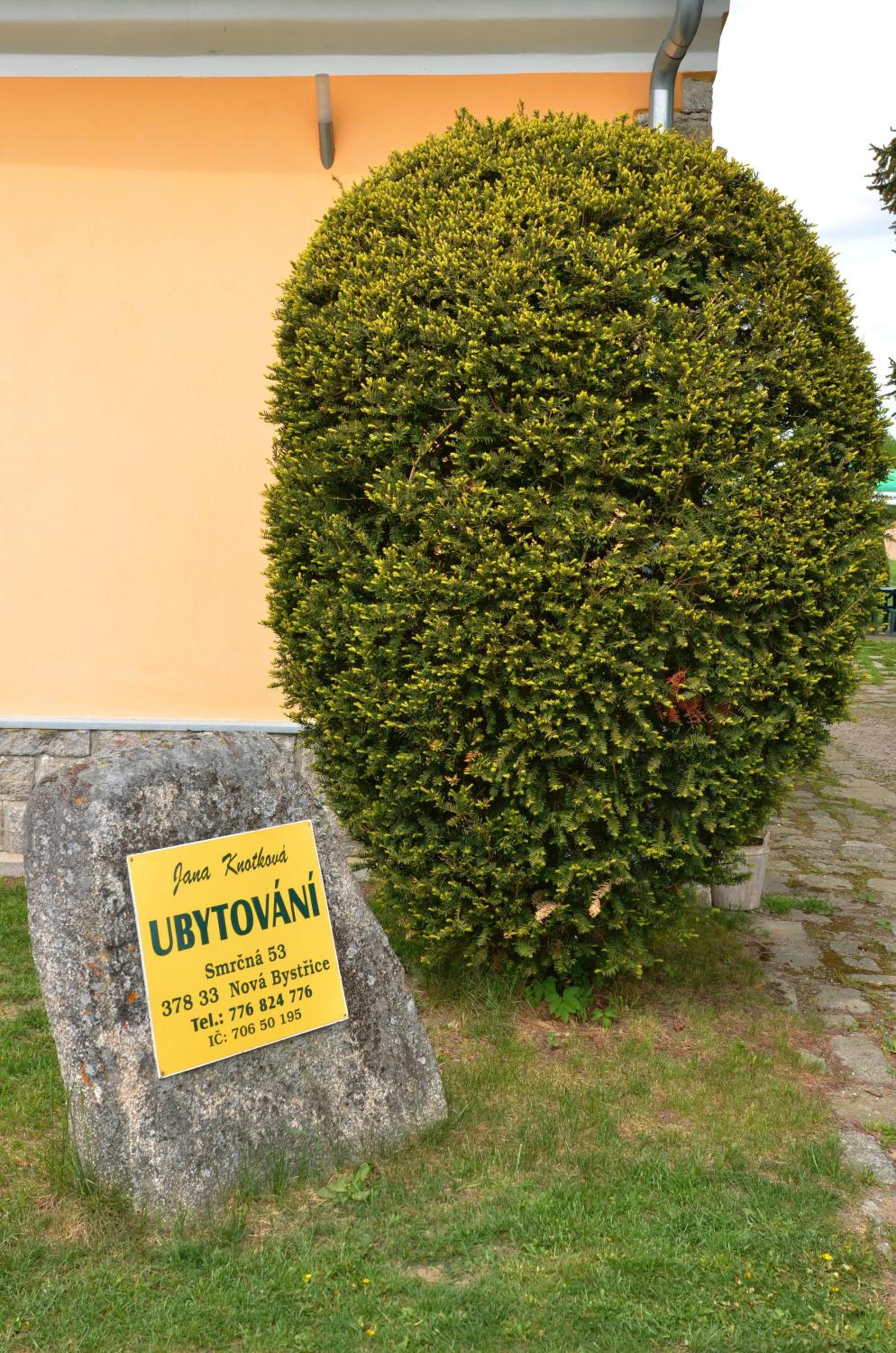 U rybníka Smrčná