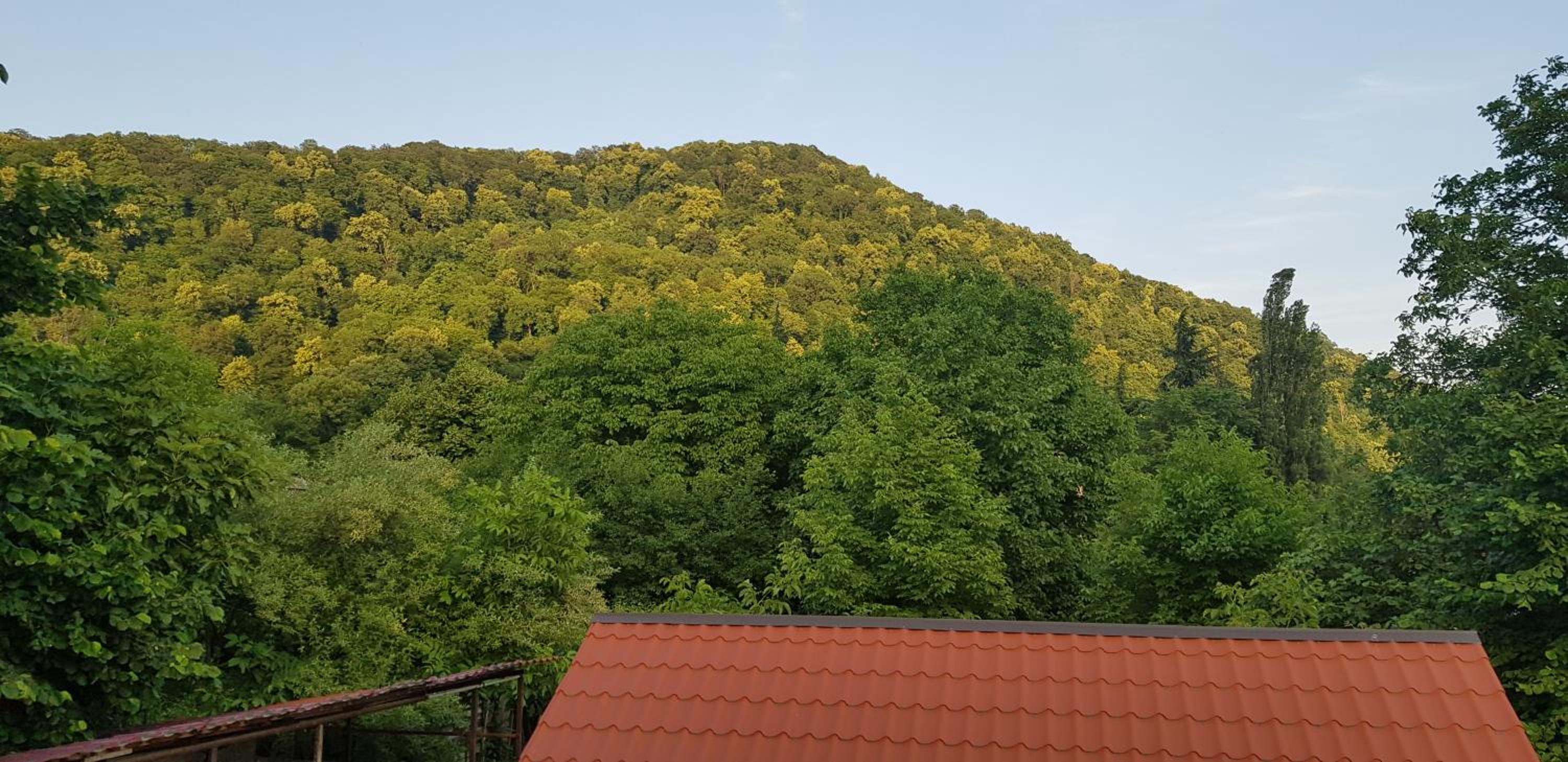 Guesthouse Vashlovani