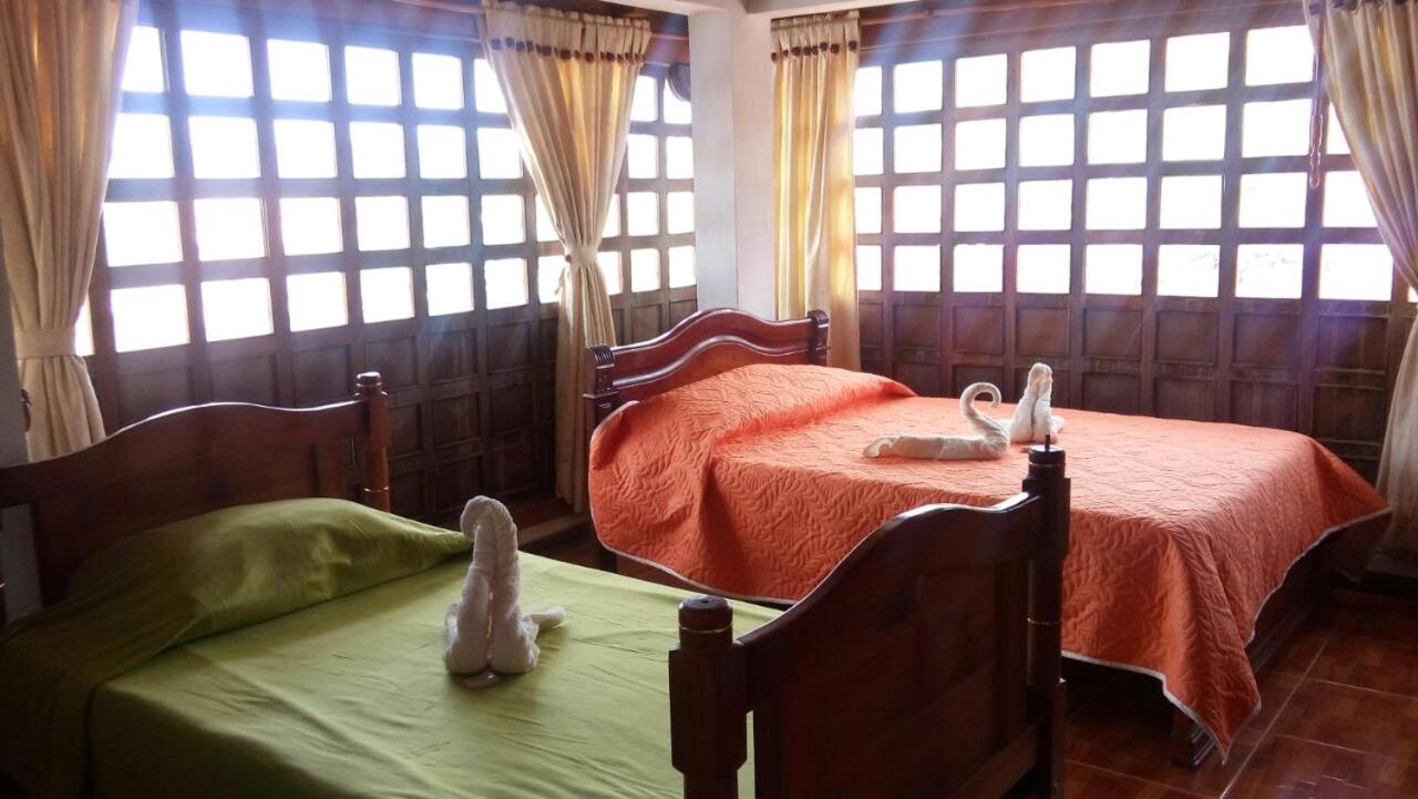 Chez Alicia Hostal view 5