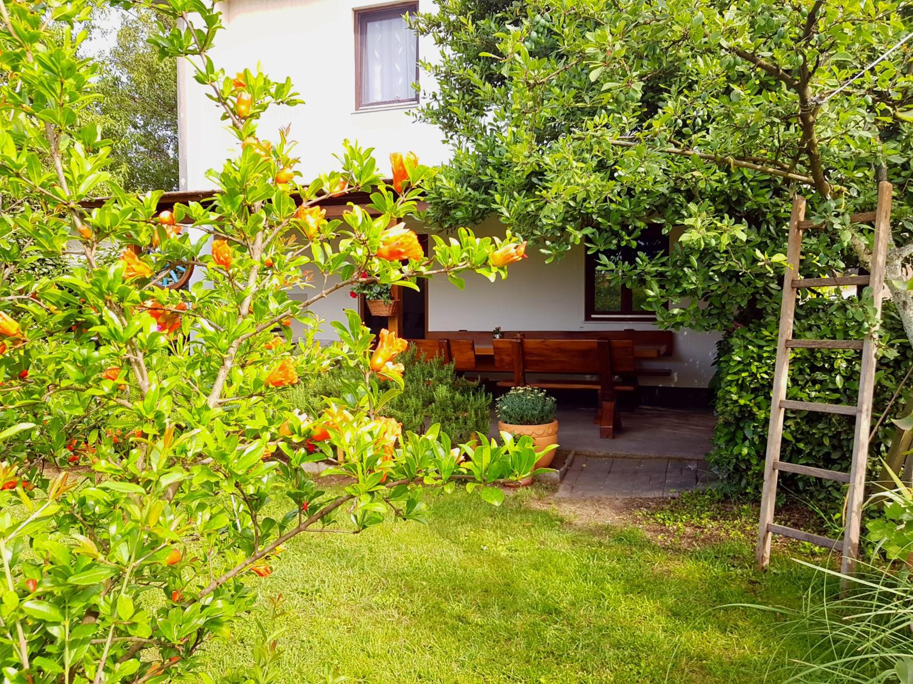 Greenhill view 4