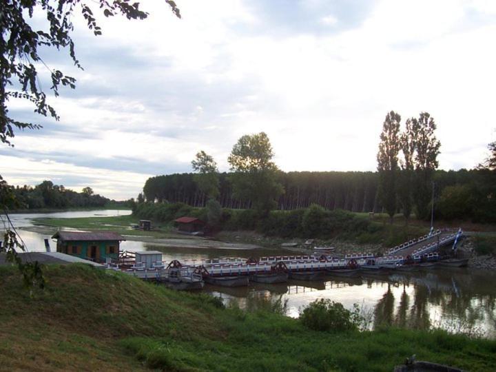 Photo 34