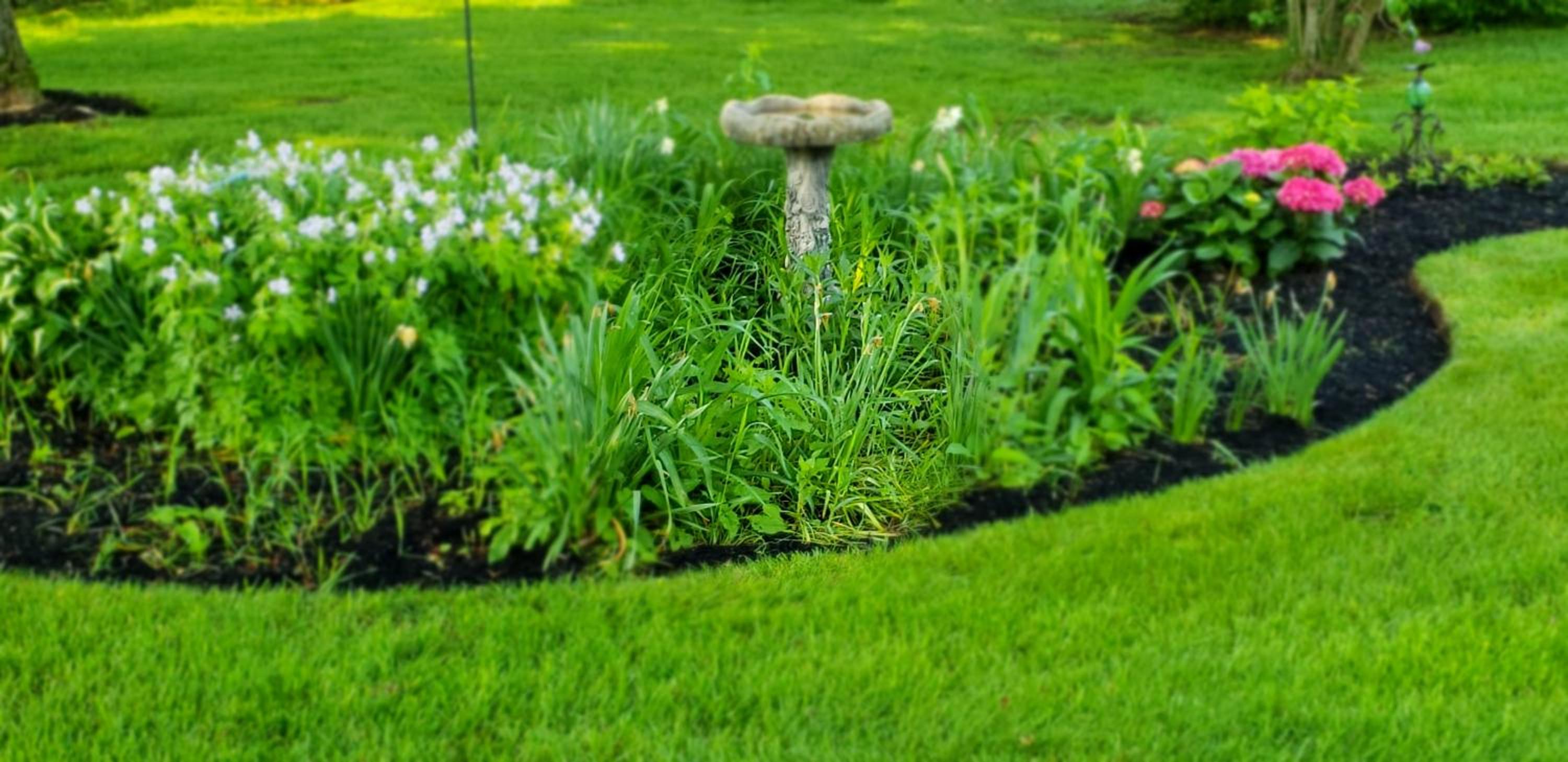 Elmere House Bed & Breakfast