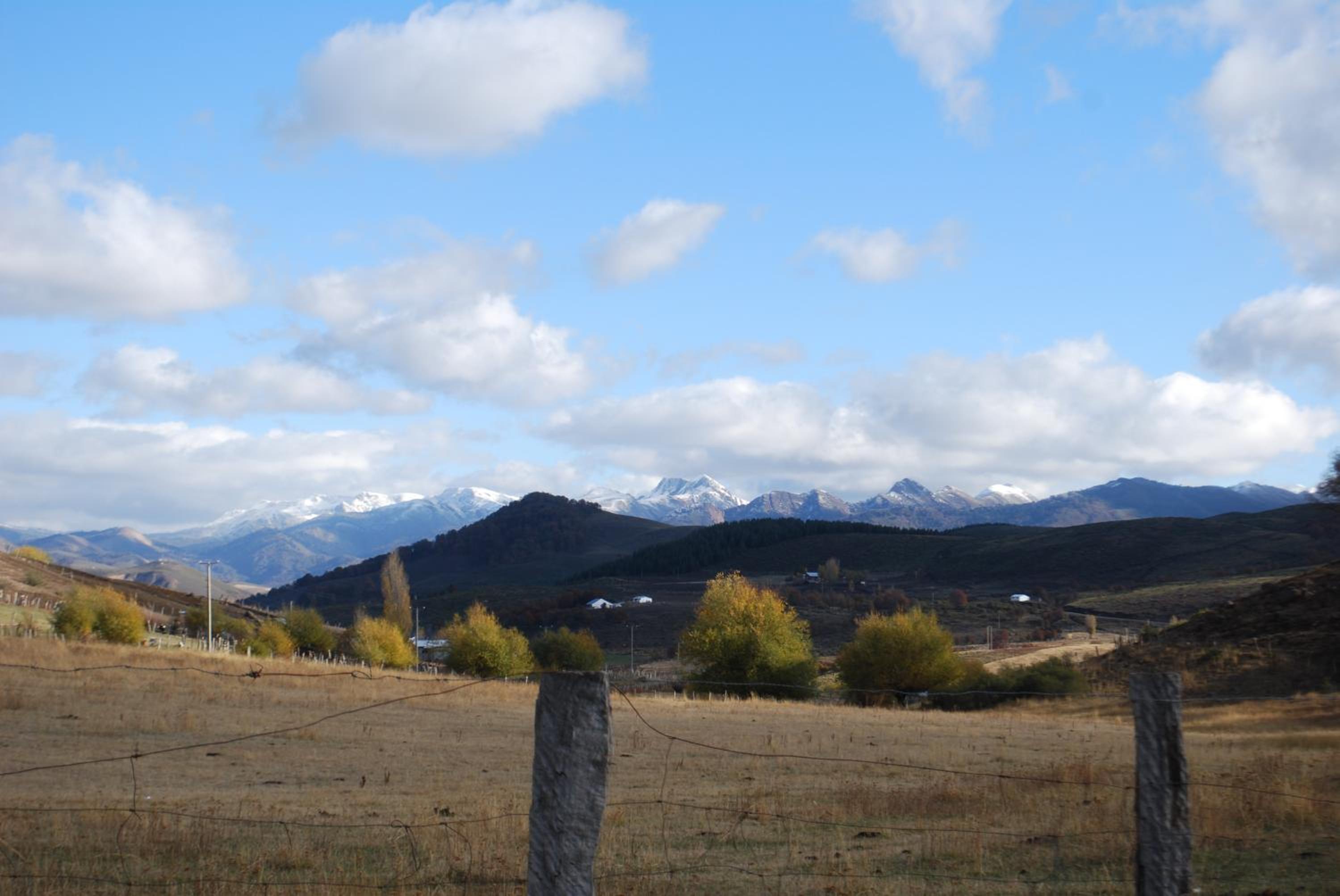 Cabañas Pino Solo
