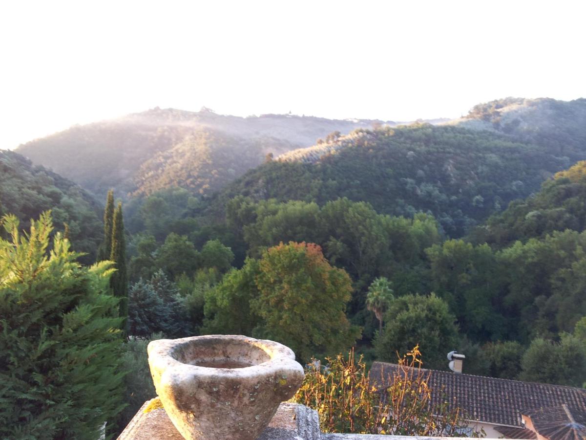 La Grimaudière view 5