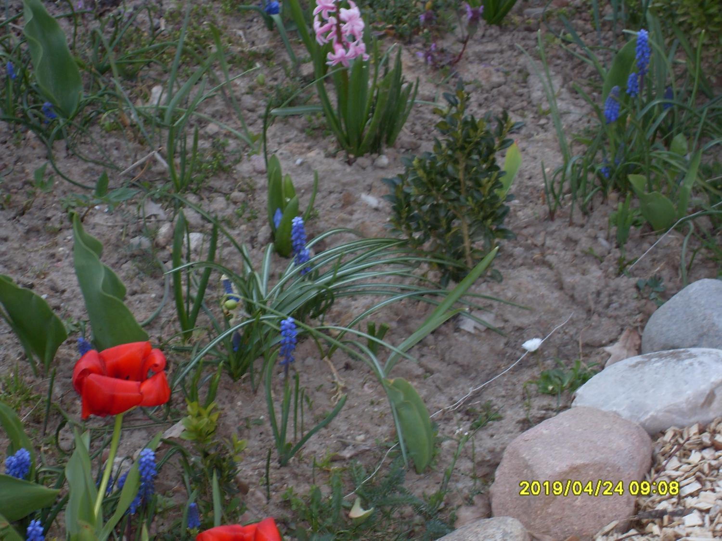 U Heleny i Piotra pokoje goscinne view 3