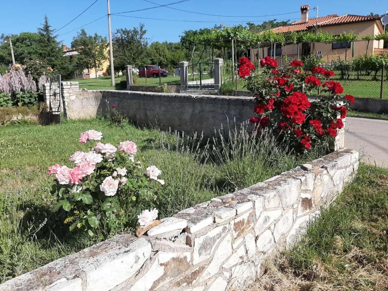Apartman Paolo view 4