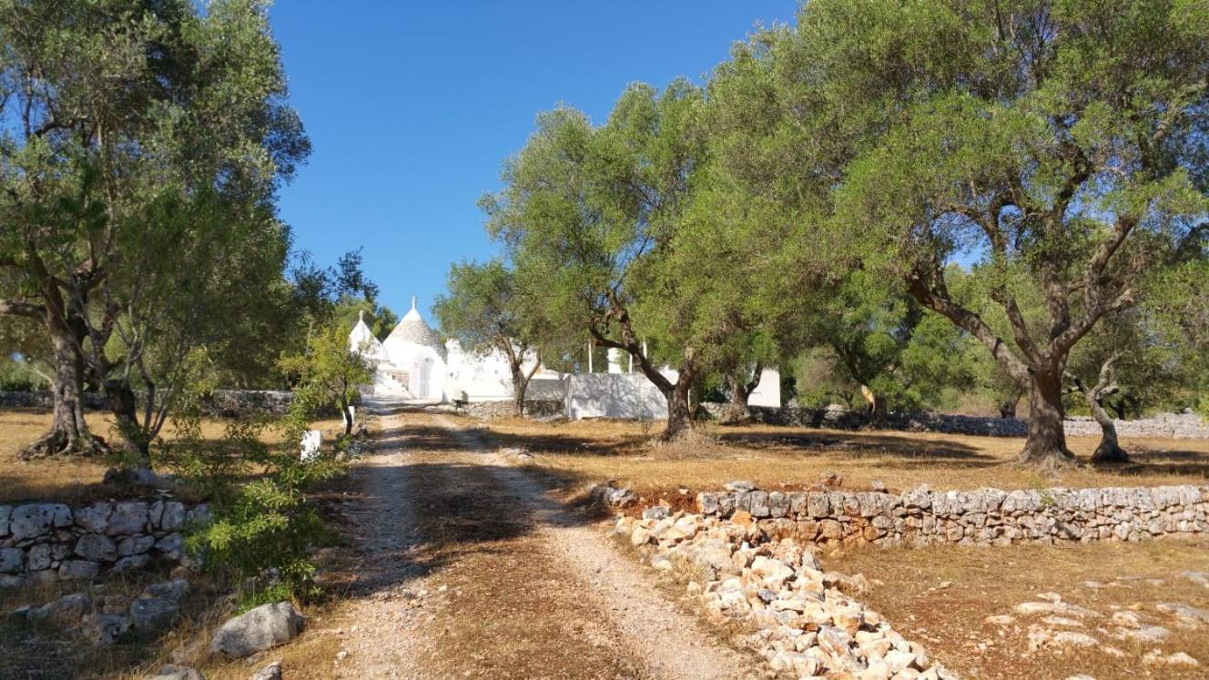 Ostuni, Trullo Laveneziana per 8 ospiti intera struttura con piscina esclusiva