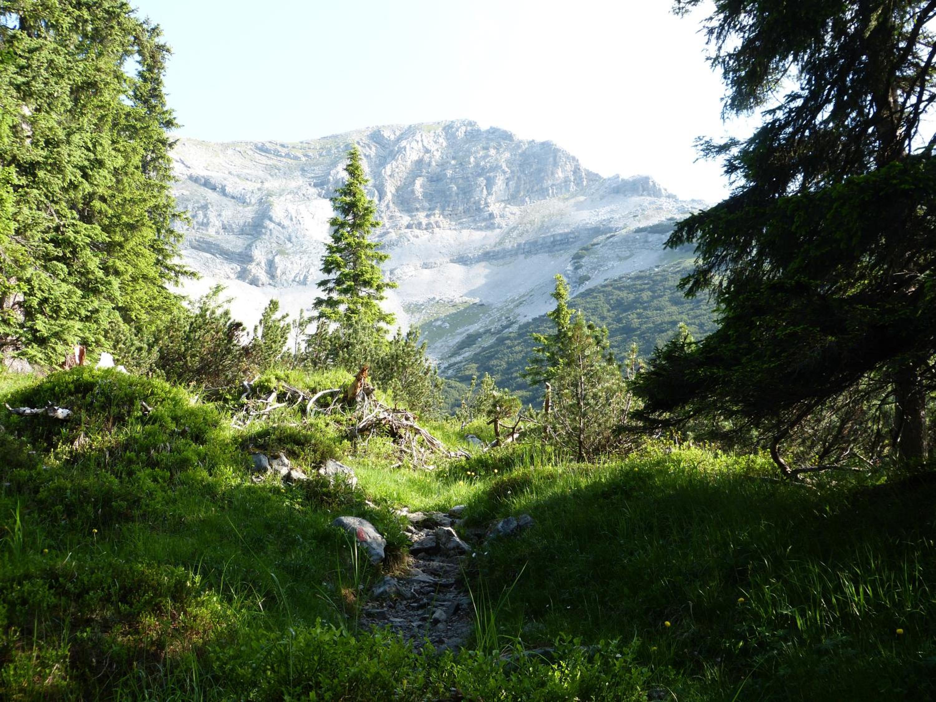 Photo 40