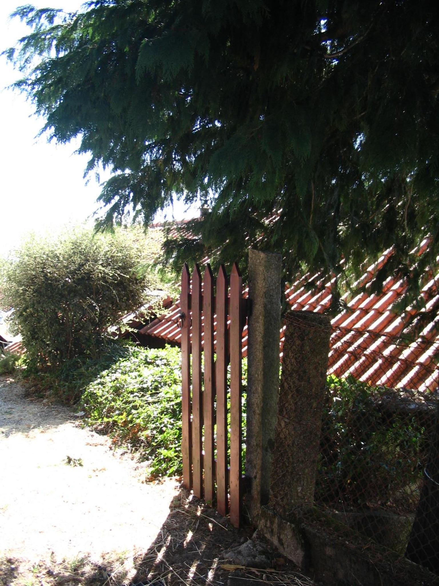 Photo 31