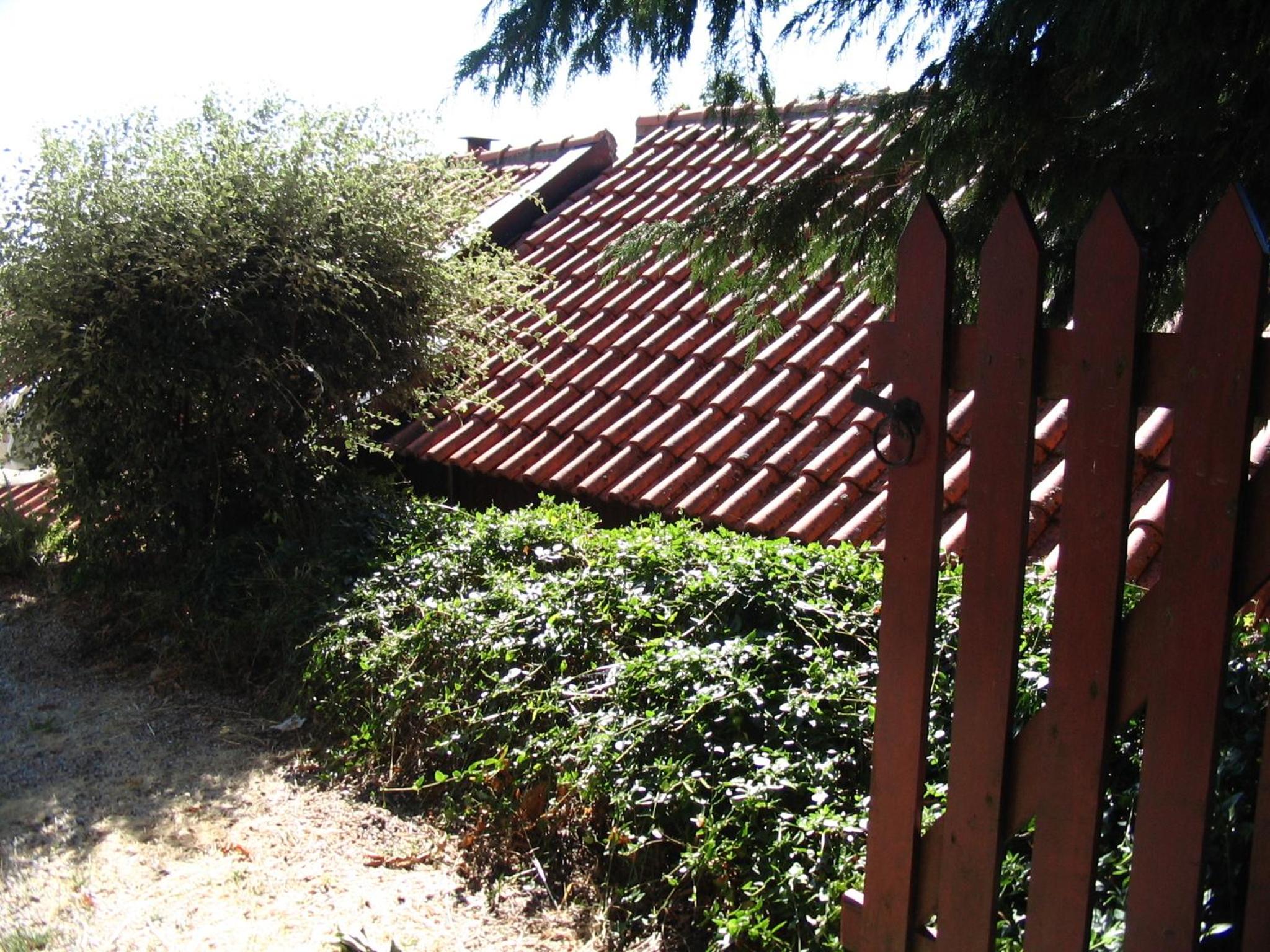 Photo 32