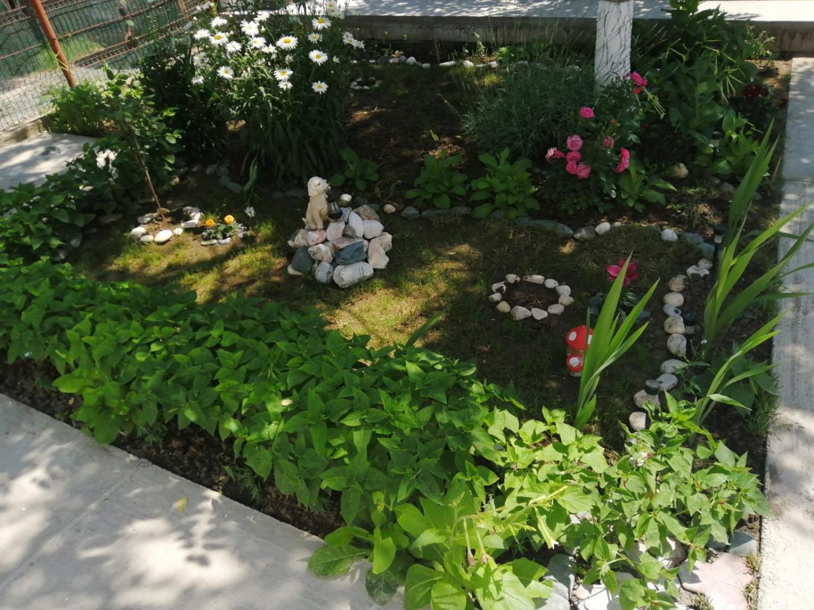 Photo 9