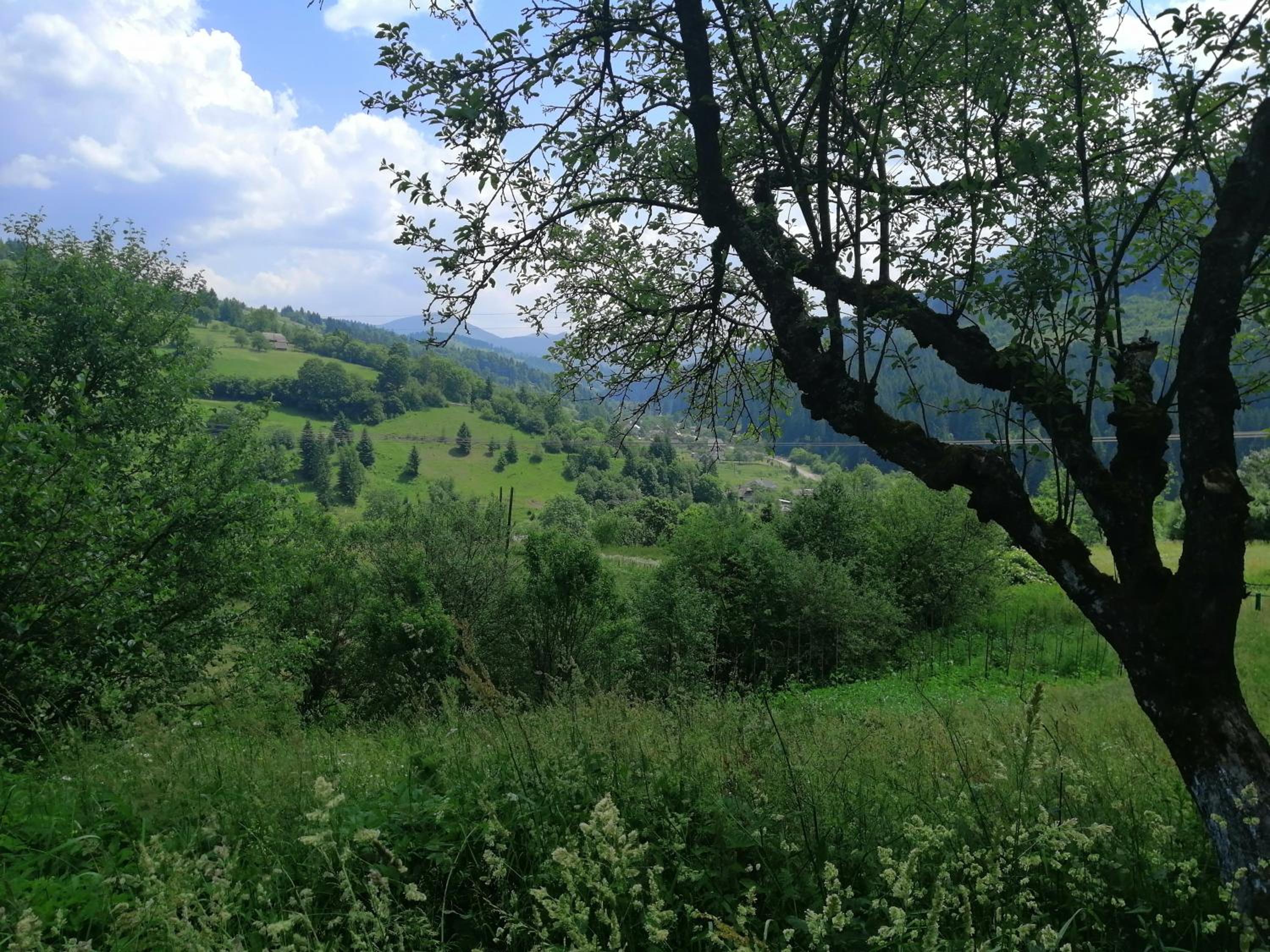 Cottage Svitanok