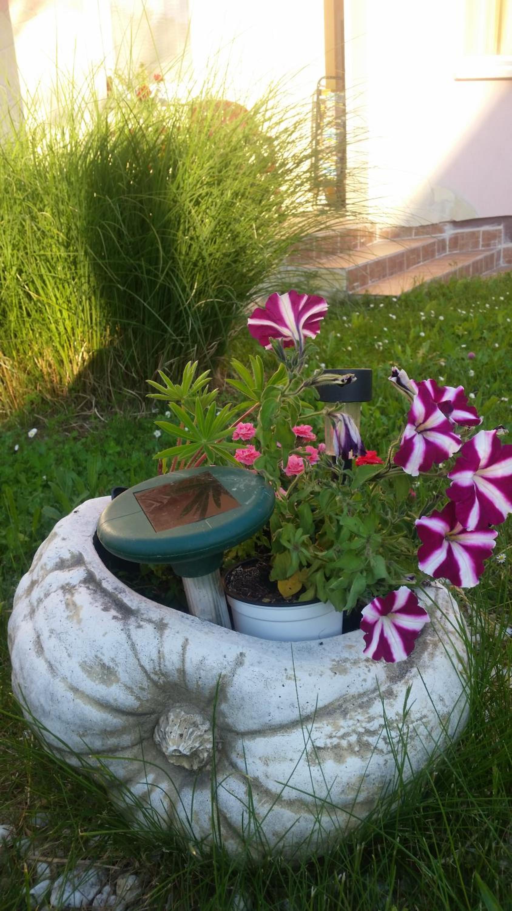 Photo 18