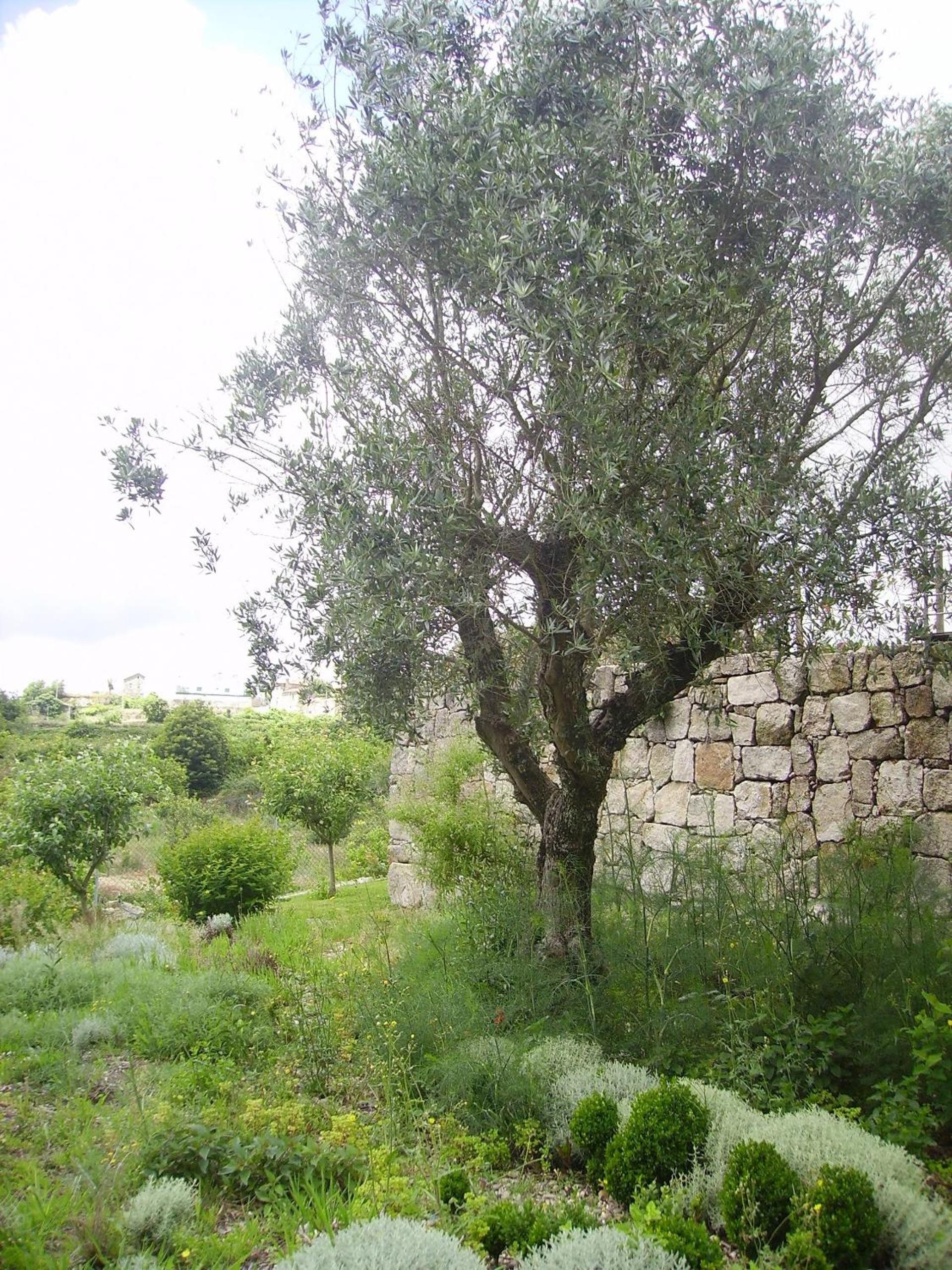 OportoNature