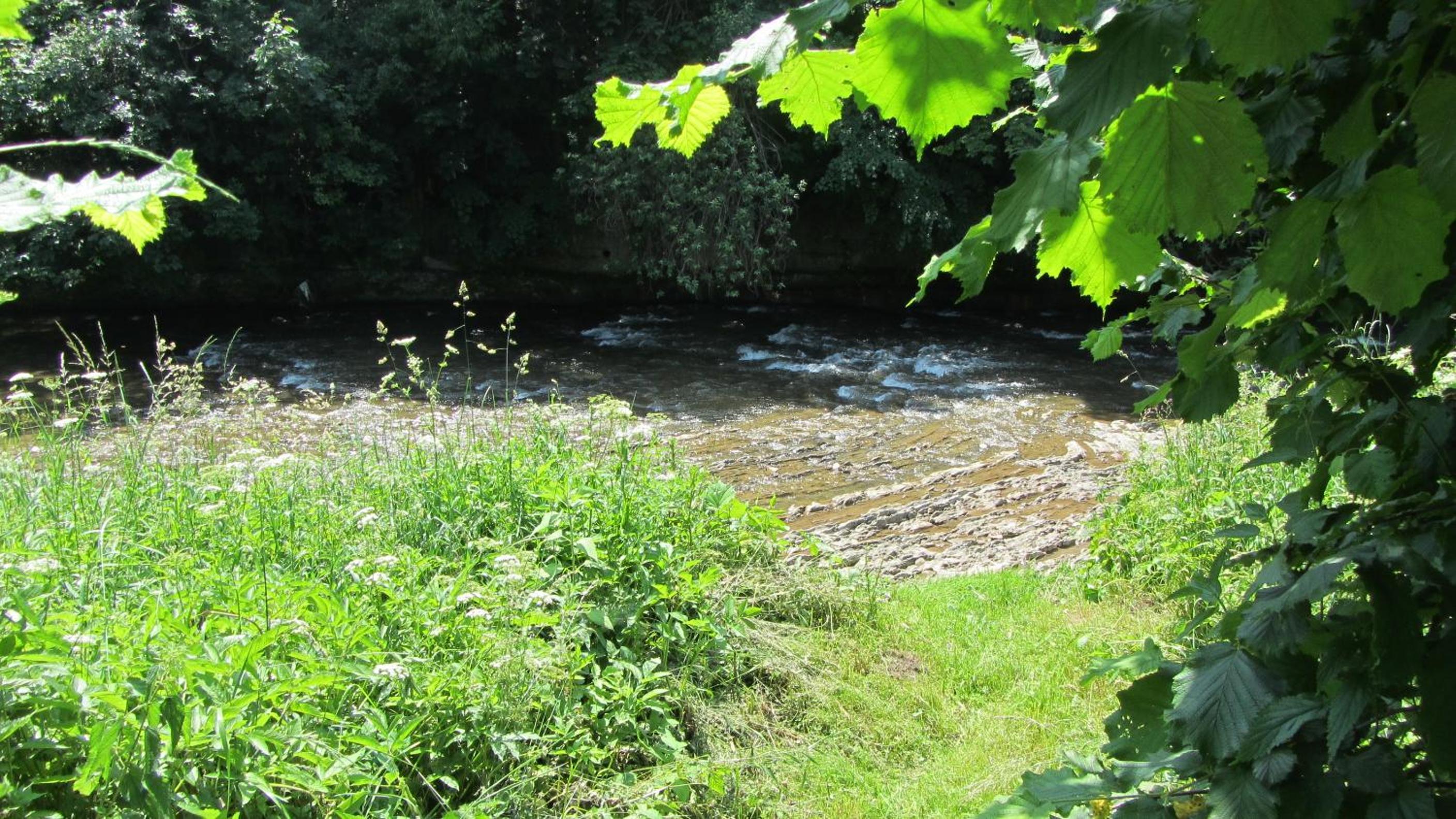 Photo 20