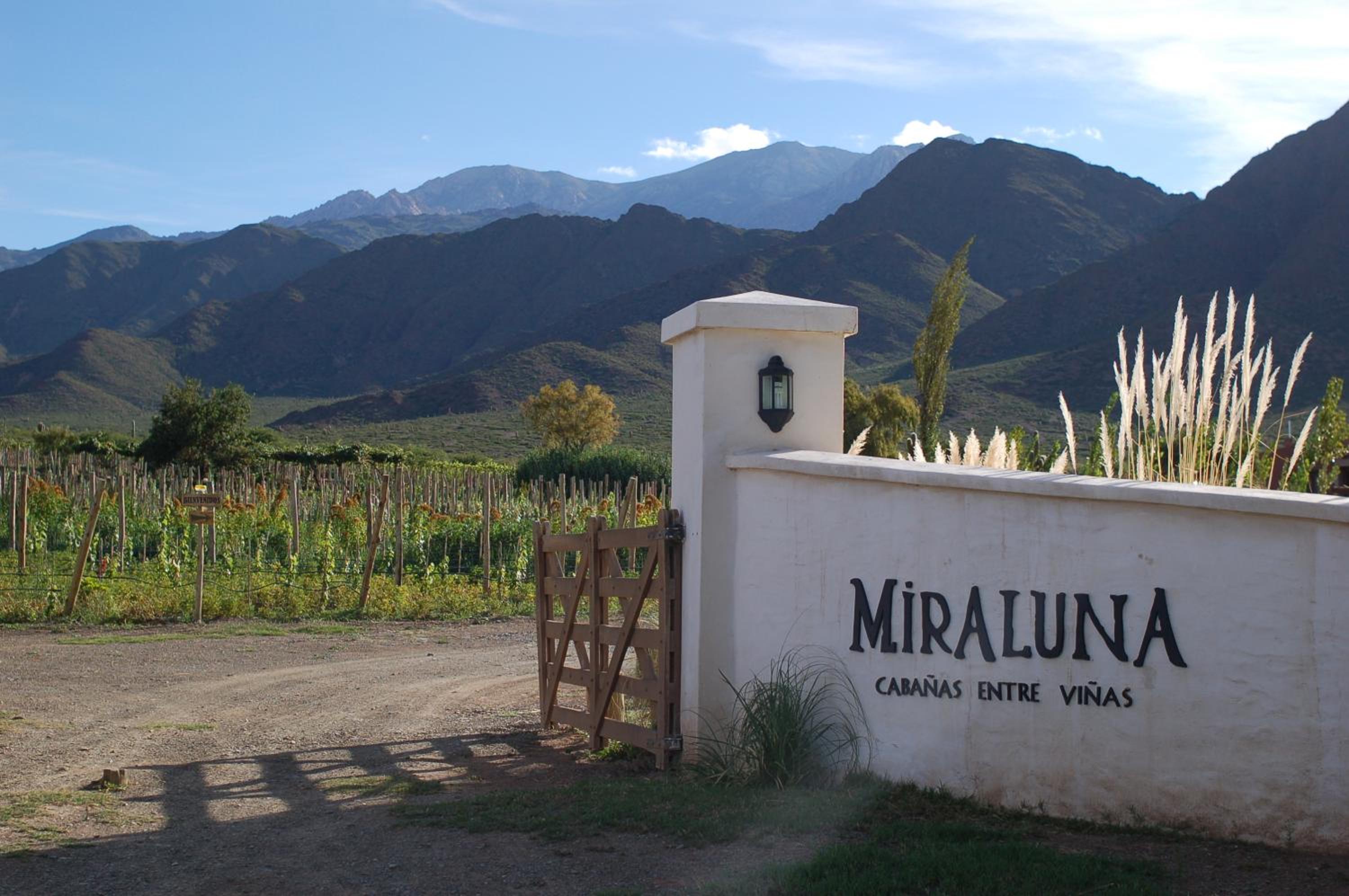 Miraluna Bodega Boutique