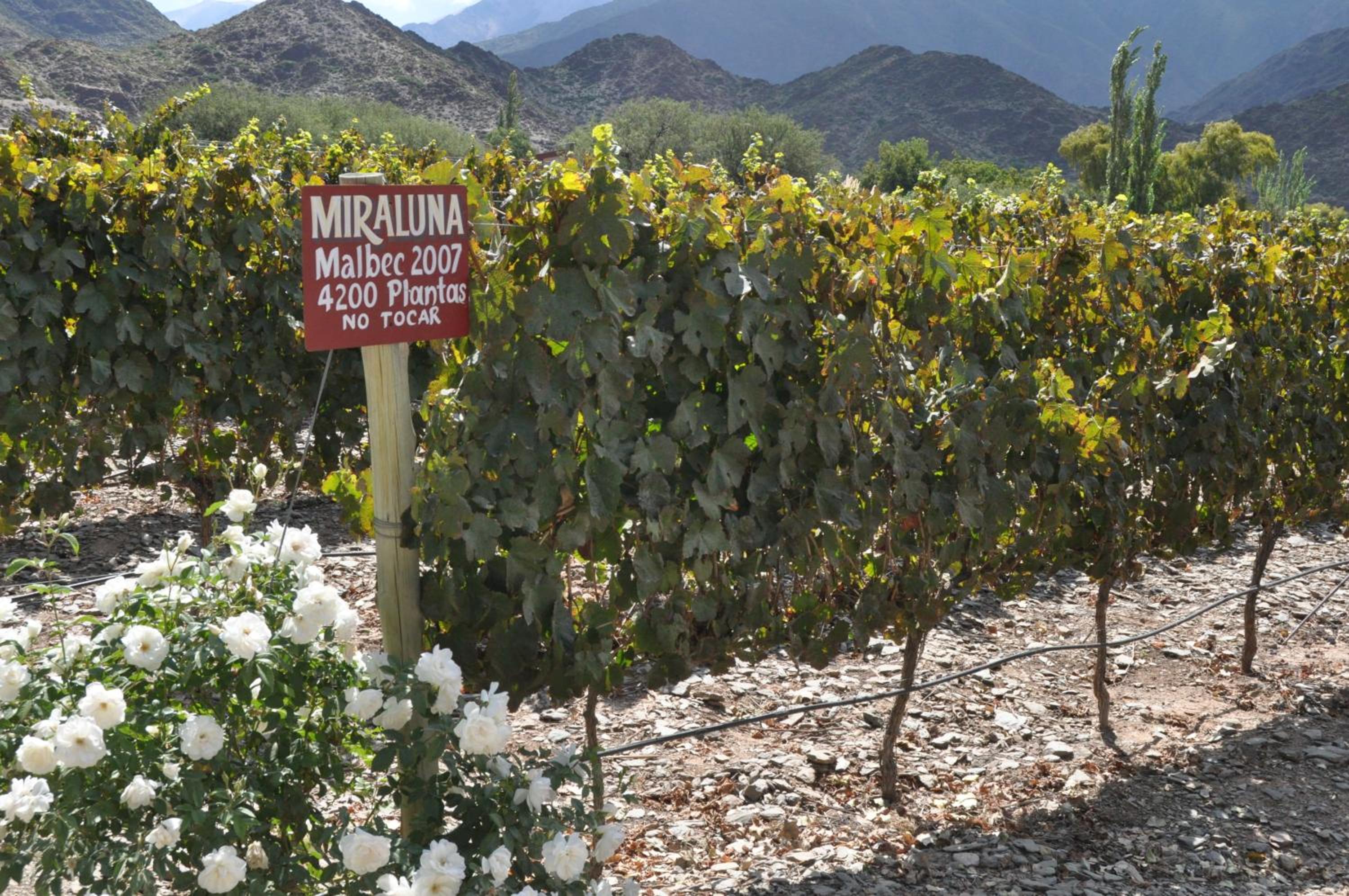Miraluna Bodega Boutique
