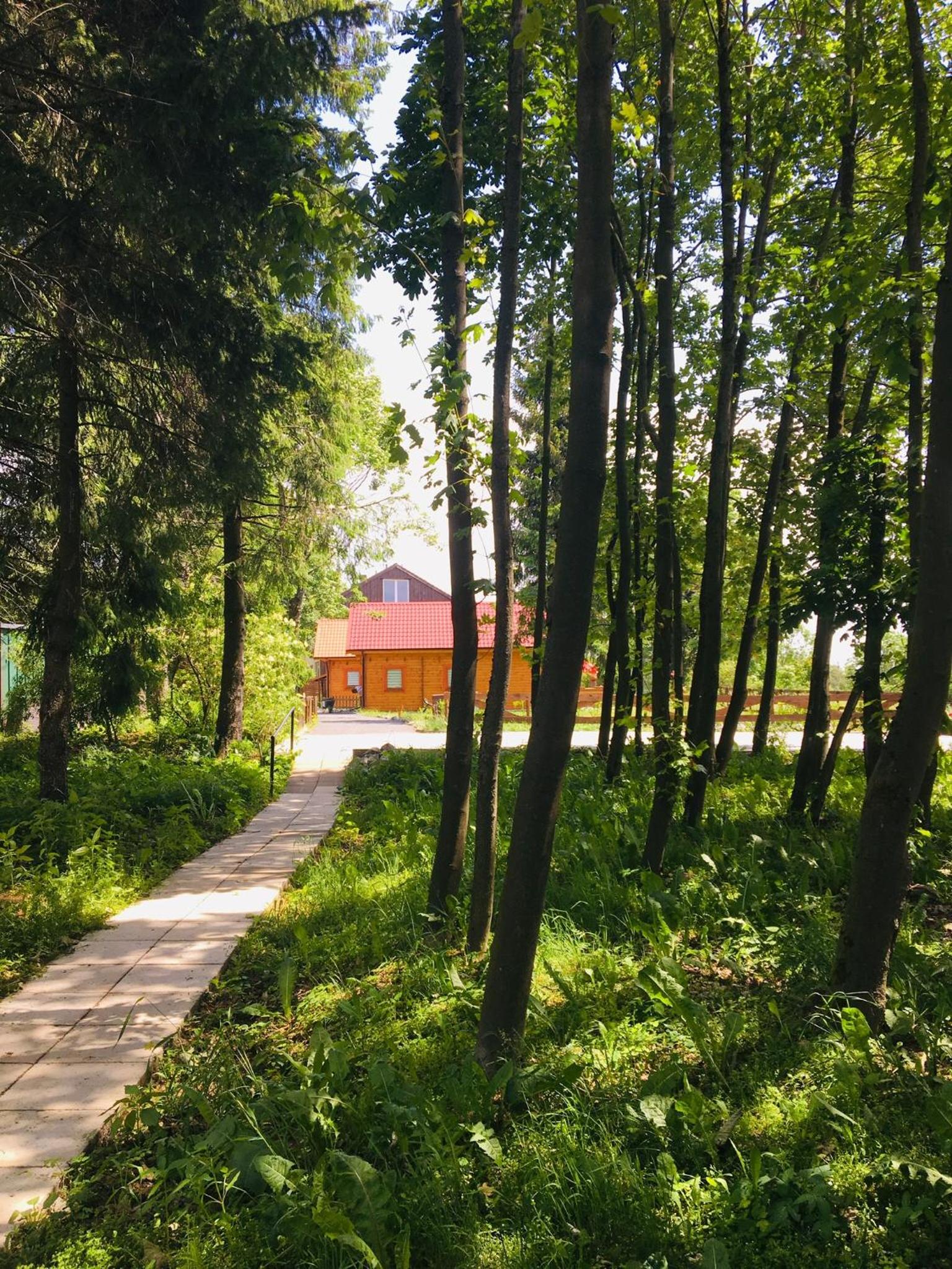 Ferienwohnung Harzblick 2